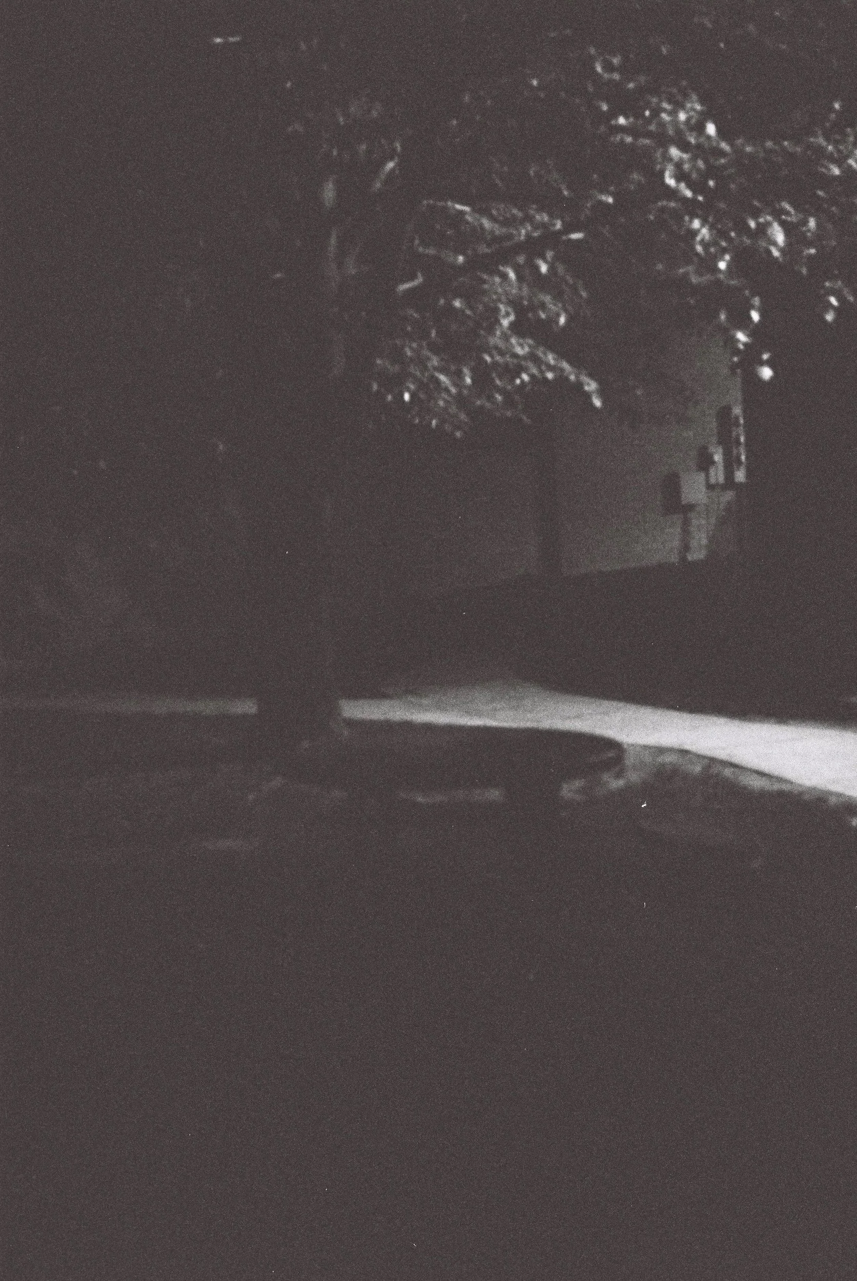 A dark street scene with a large tree illuminated by streetlights and a building in the background, seen at night.