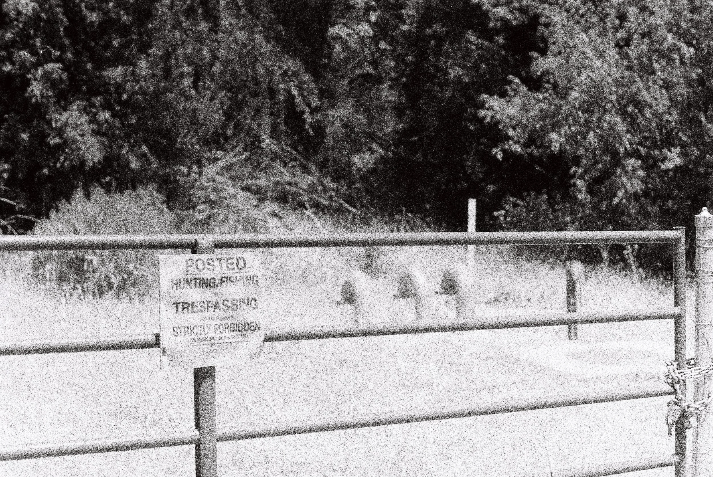 A chain-link fence with a sign that reads 'POSTED Hunting, Fishing, Trespassing. Strictly Forbidden.' in front of a wooded area at night.