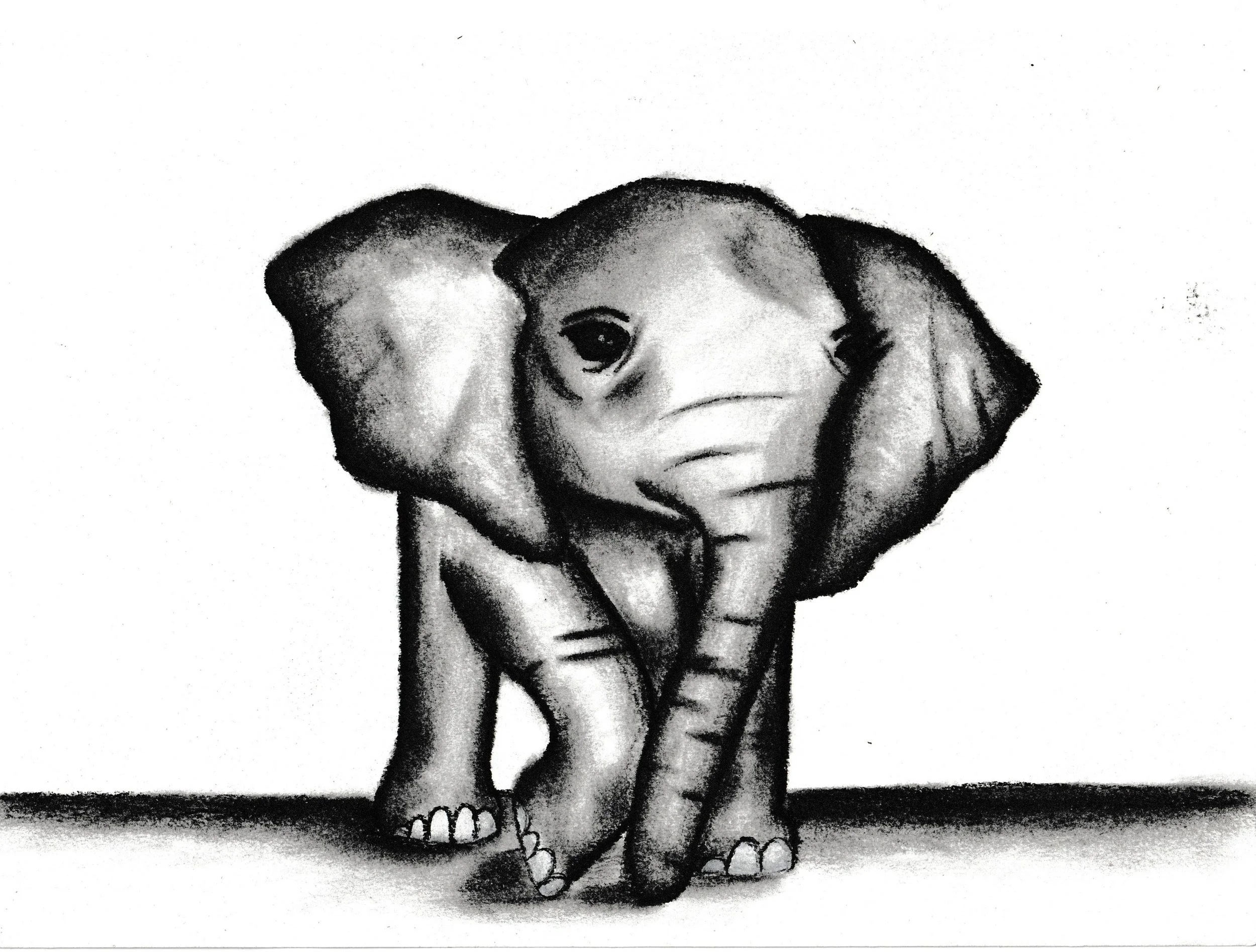 Sketch of a dog with one paw on the ground and the other paw slightly raised, with a contemplative expression.