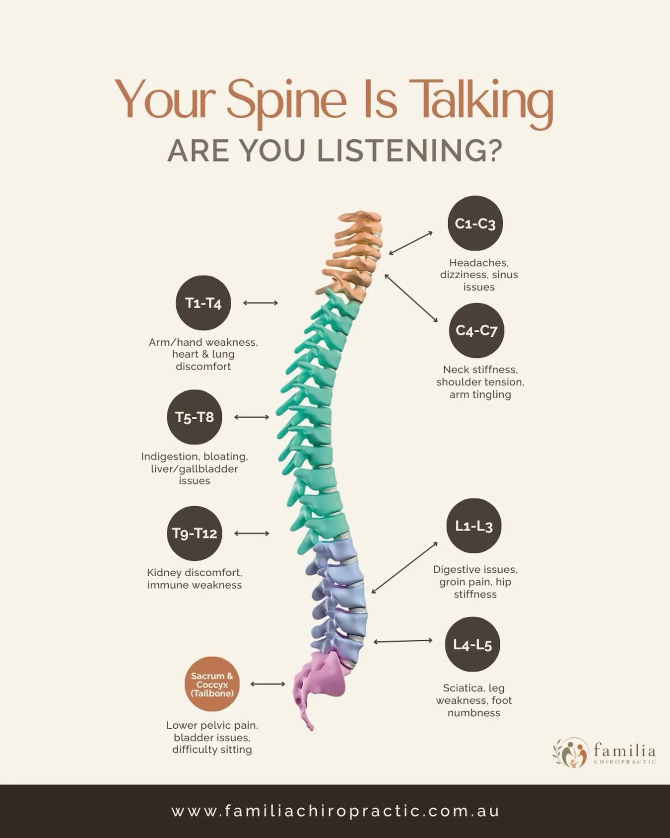 Your Spine Is Talking, Are You Listening? 🦴 Stiffness, tension or reduced mobility? Your body might be telling you to pay attention. 🤍
📍 Familia Chiropractic Hoxton Park