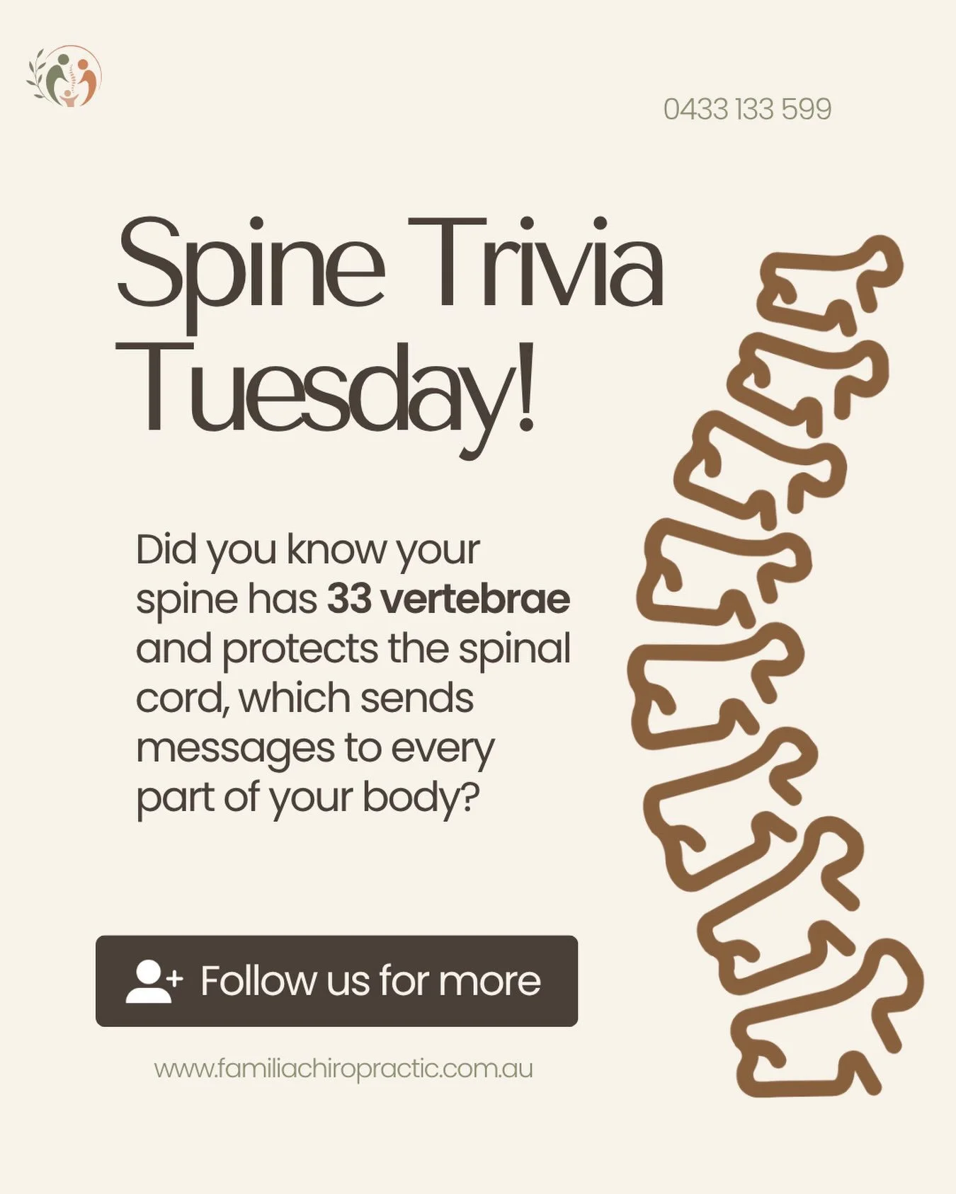 🦴 Spine Trivia Tuesday
Did you know? 
Your spine is pretty amazing! 33 vertebrae work together to support your body and protect your spinal cord.
Follow along for more spine &amp; wellbeing tips 🌿
📍 Hoxton Park
