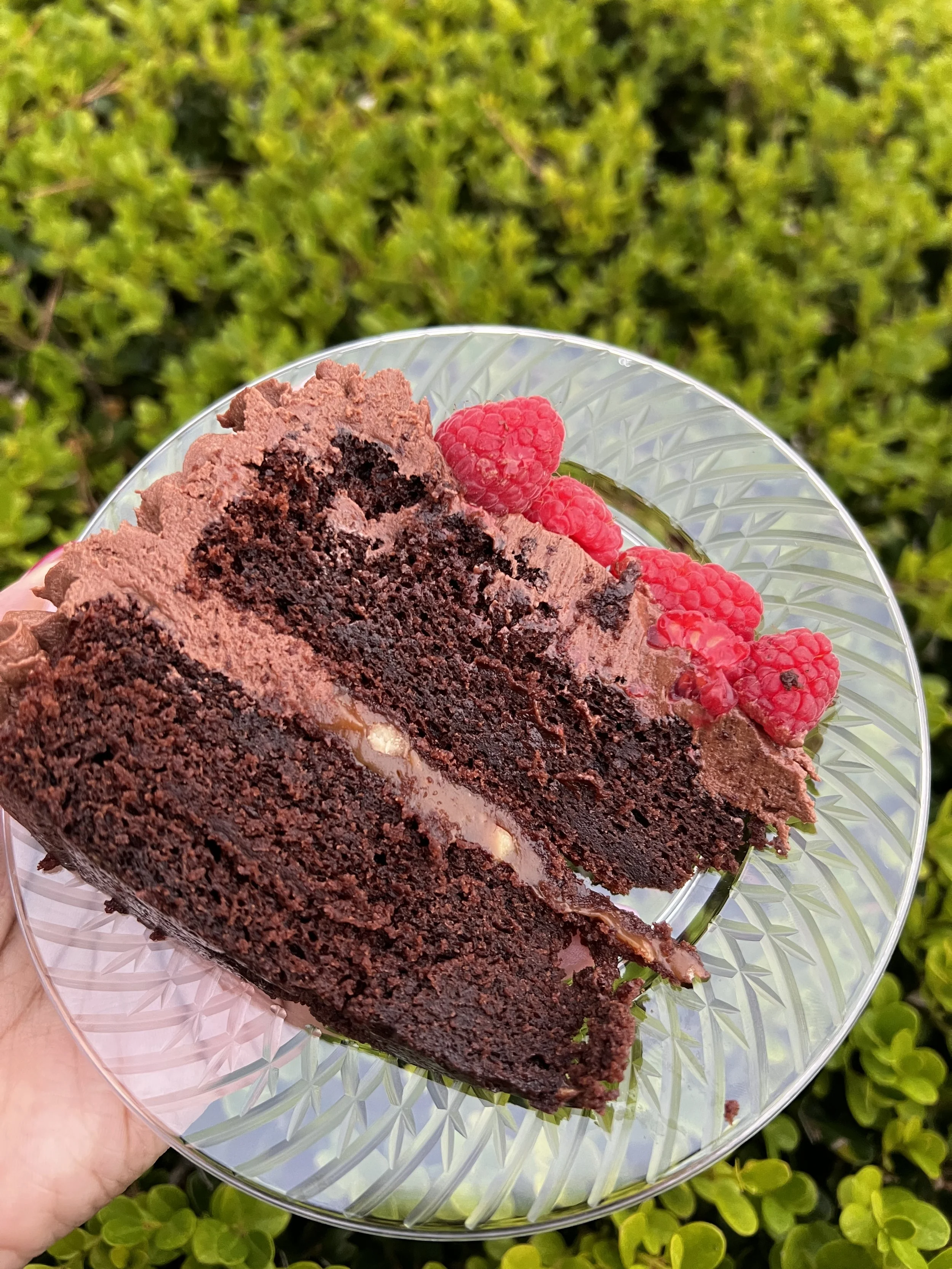 Slice of chocolate cake with berries on a glass plate, held by a person, outdoors with green foliage in the background.