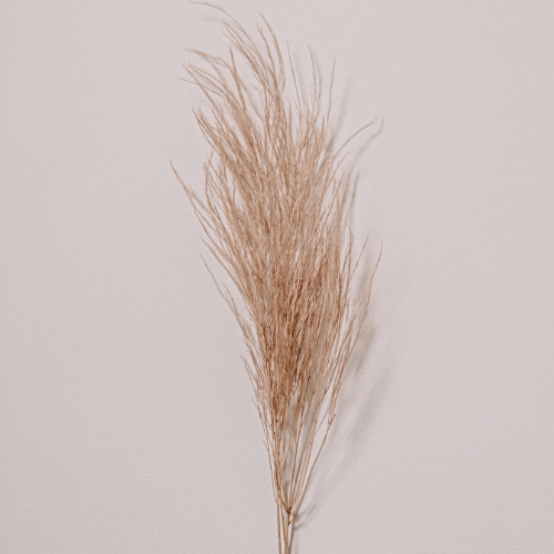 Mindful Roots Logo (15).png
