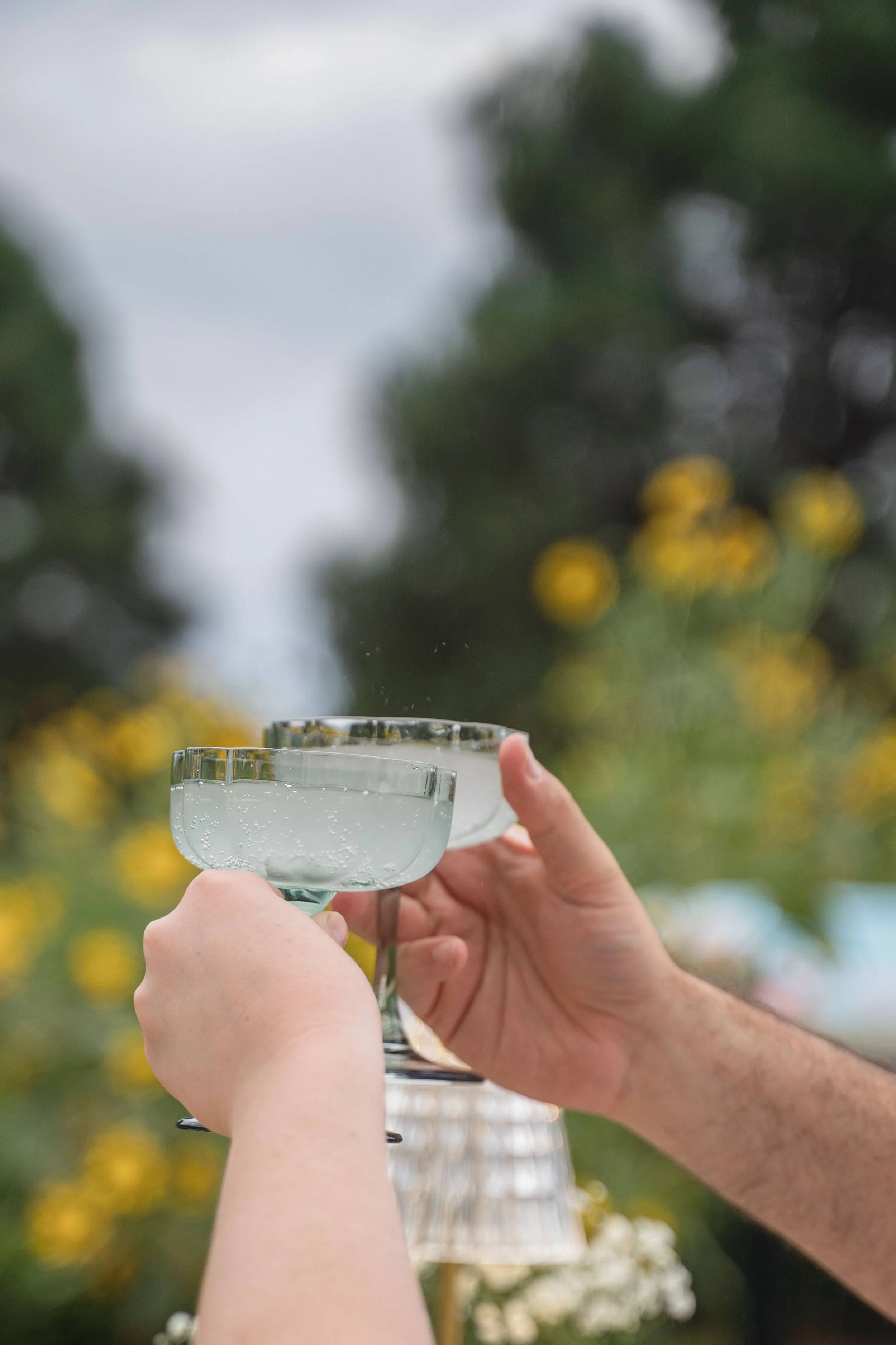 Two people clinking glasses filled with a transparent beverage, with a blurred background of greenery and yellow flowers.