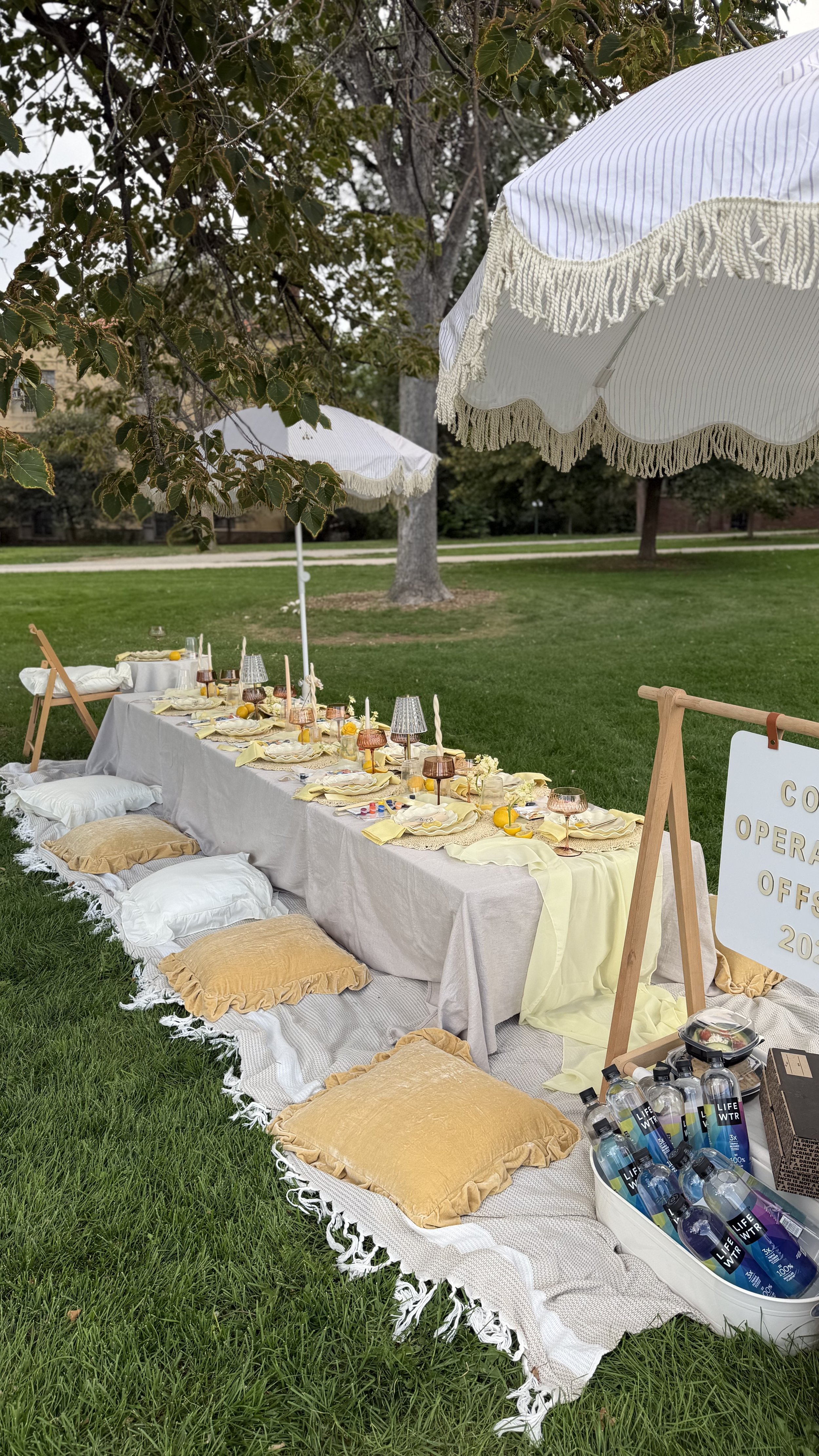 Outdoor picnic or gathering setup on a grassy area with a long table covered with a beige tablecloth, cushions on the ground, and white umbrellas providing shade. The table is decorated with plates, glasses, and small decorations, and there are bottl