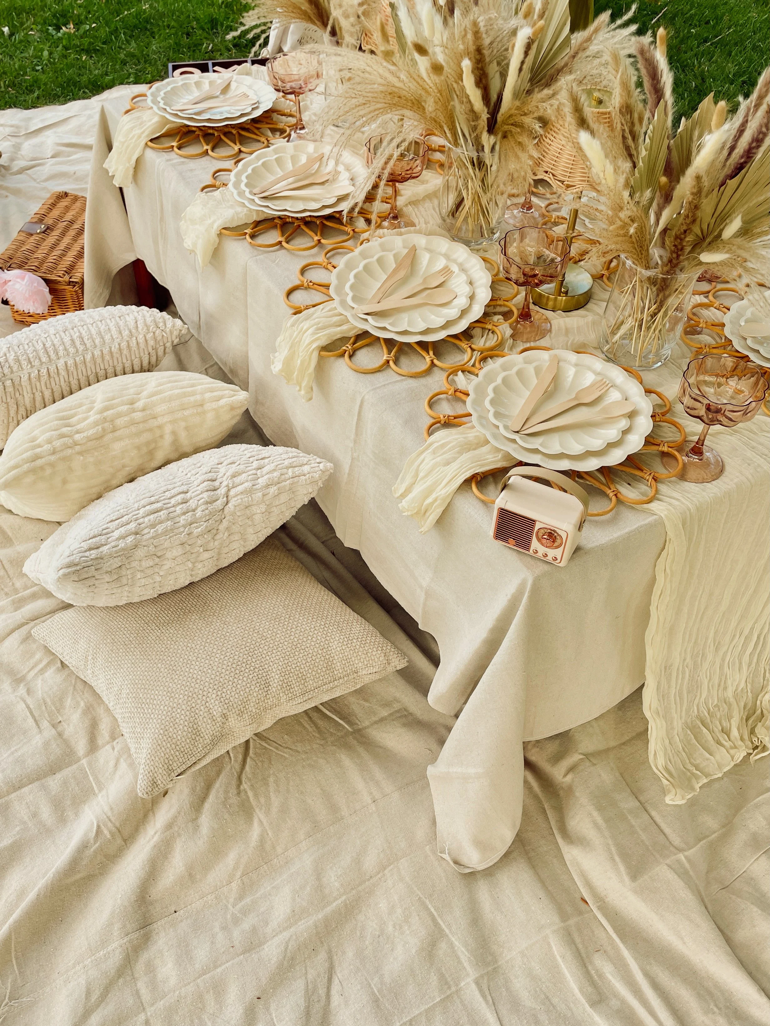 Boho themed luxury picnic in denver