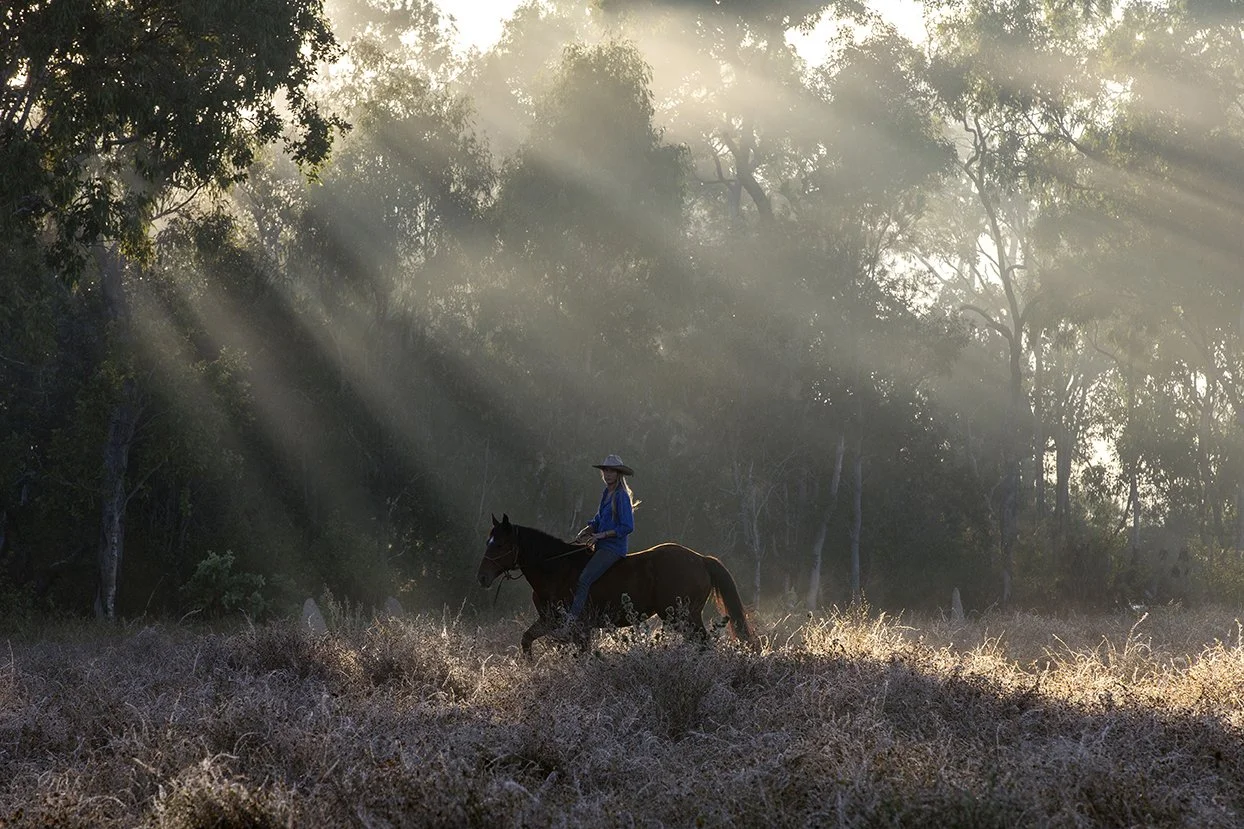 Person riding a horse in a field with sunlight streaming through trees.
