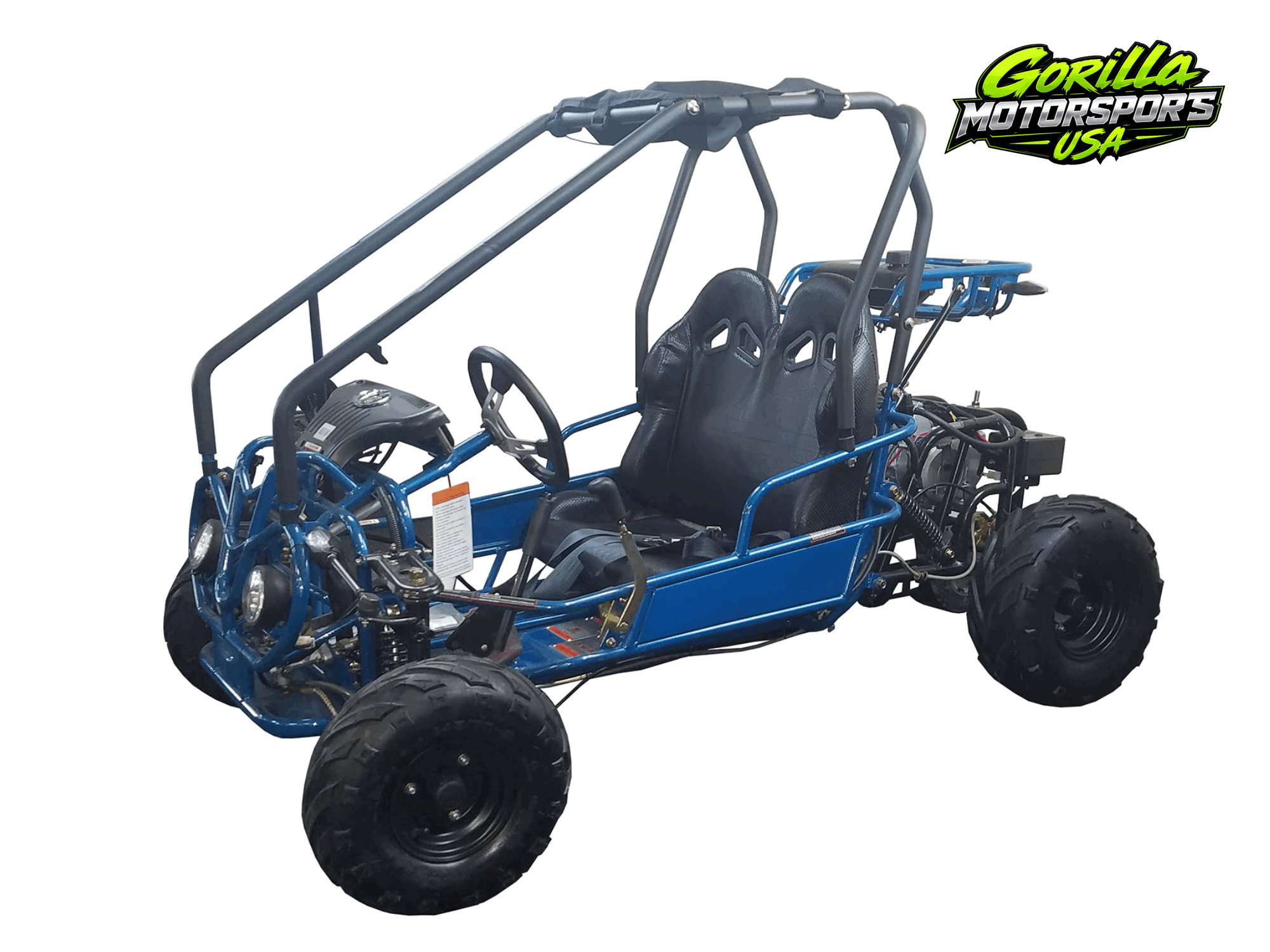 MINI RAPTOR 2.png