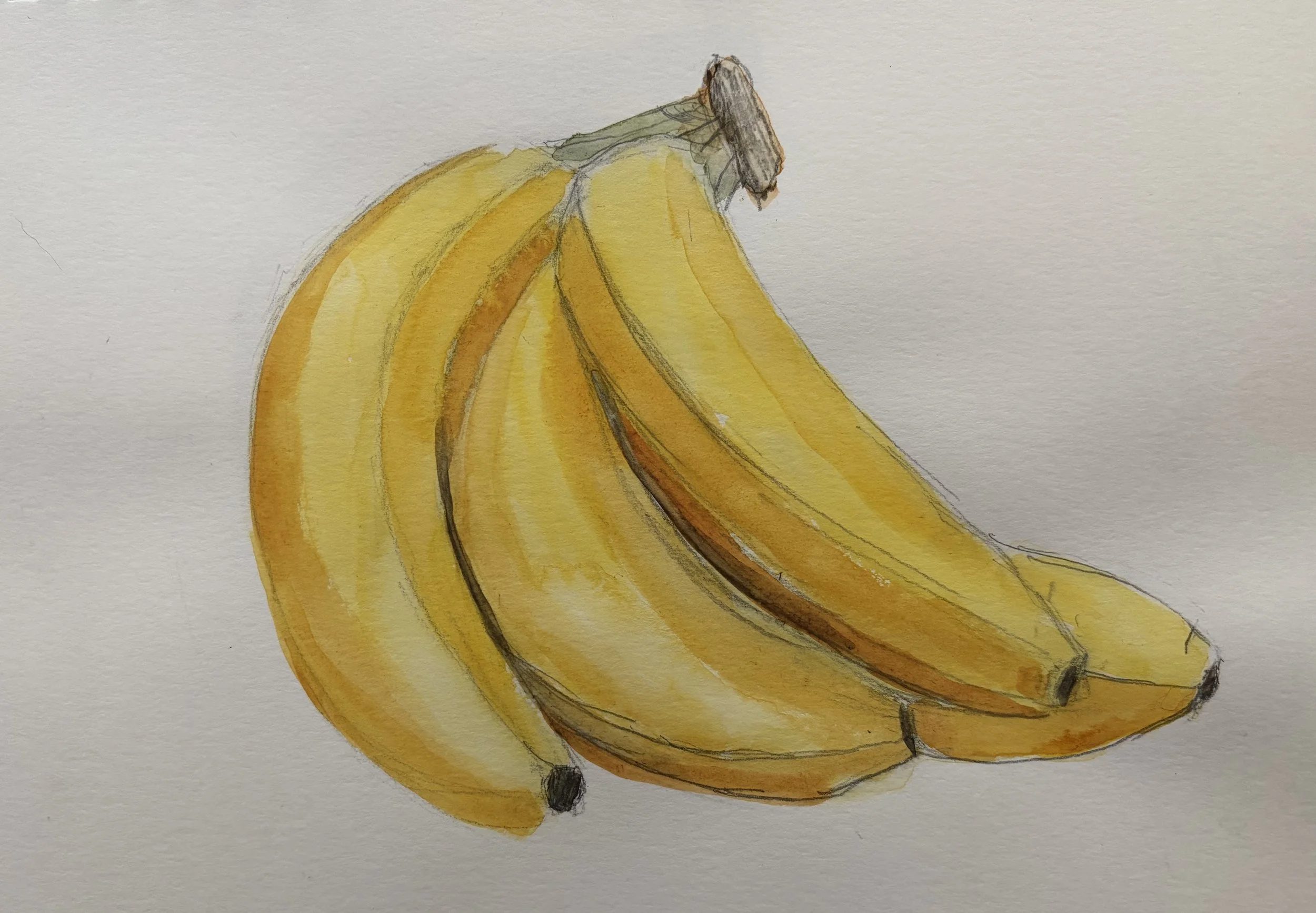Bananas.jpeg