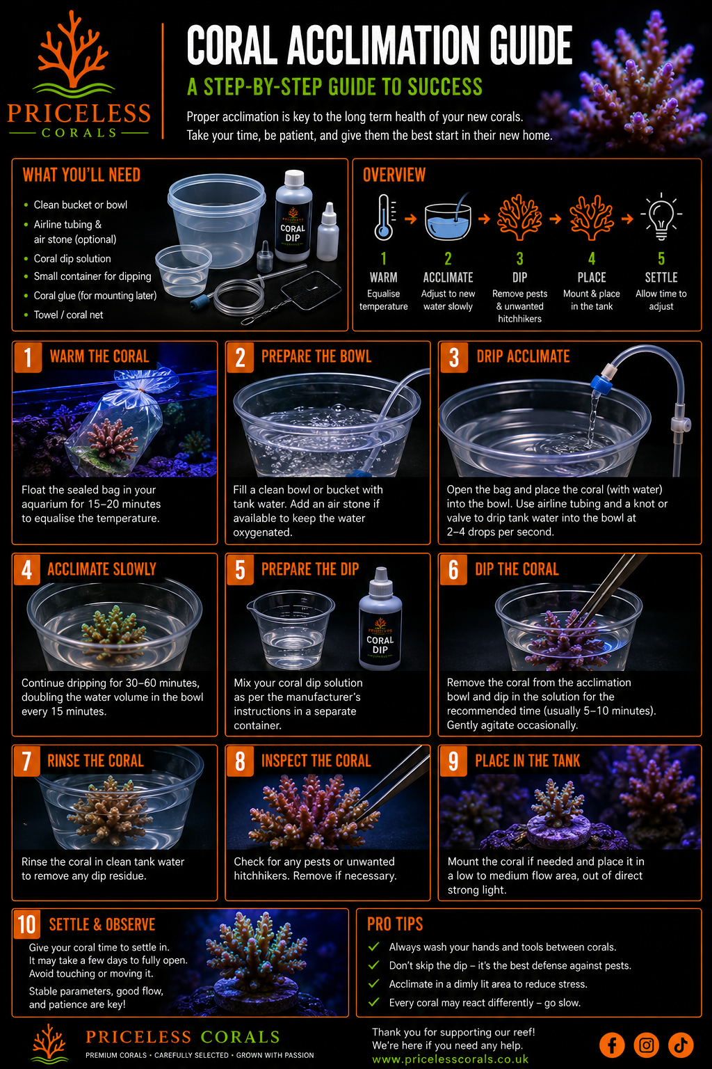 A step-by-step coral acclimation guide with detailed instructions, images of coral, equipment, and supplies needed for coral acclimation process.