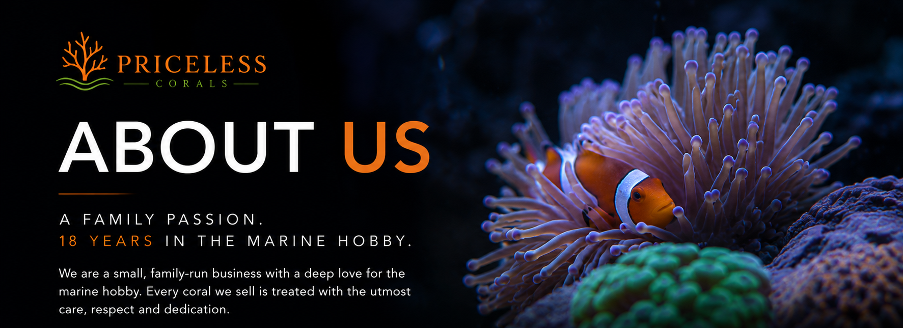A web page about Priceless Corals, featuring a clownfish swimming among coral reef, with the heading "About Us" and a description stating it's a family-run business passionate about marine hobby, with 18 years of experience.