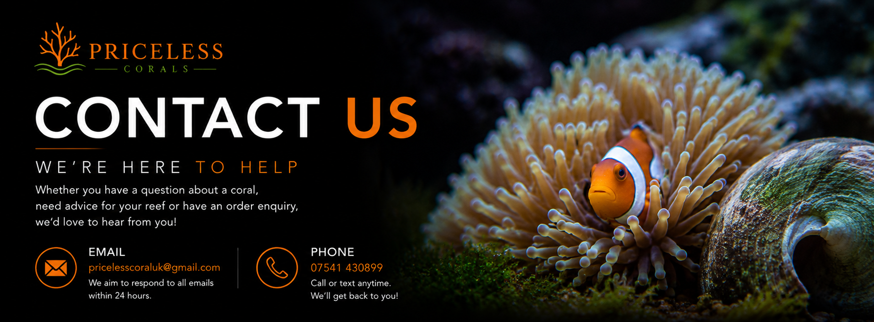 Contact page for Priceless Corals showing a clownfish in a sea anemone on the right with the company's contact information on the left, including email and phone number.