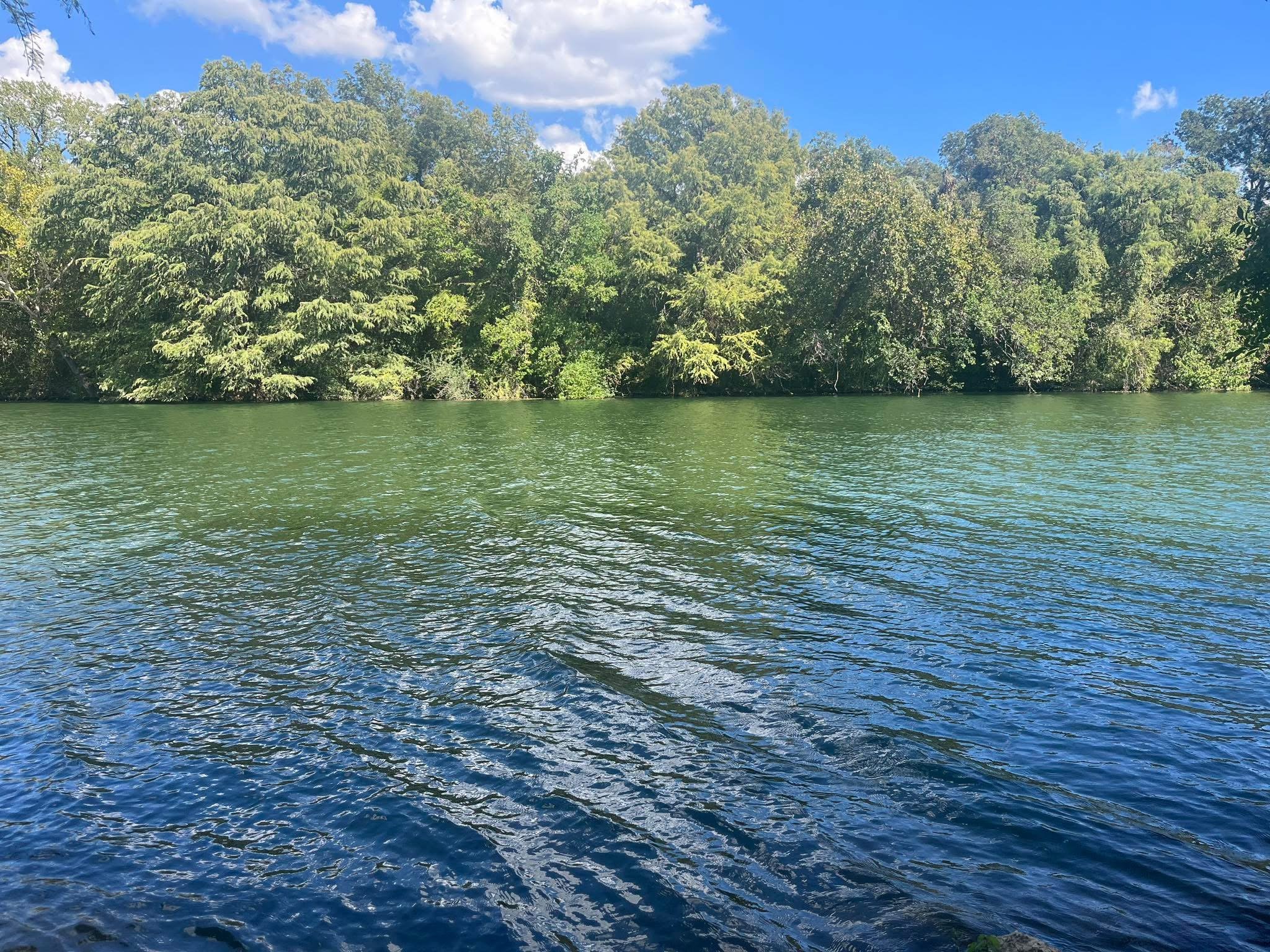 View of a calm river or lake with green trees along the shoreline under a blue sky with white clouds.