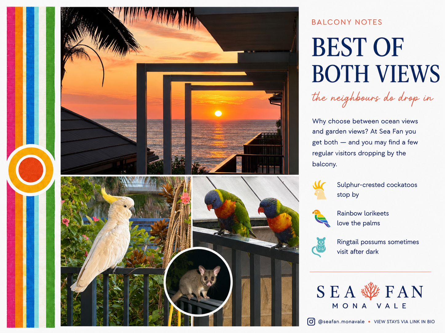 Sea Fan balcony views at sunrise, with the ocean on one side and visits from cockatoos, rainbow lorikeets and possums in the tropical garden.