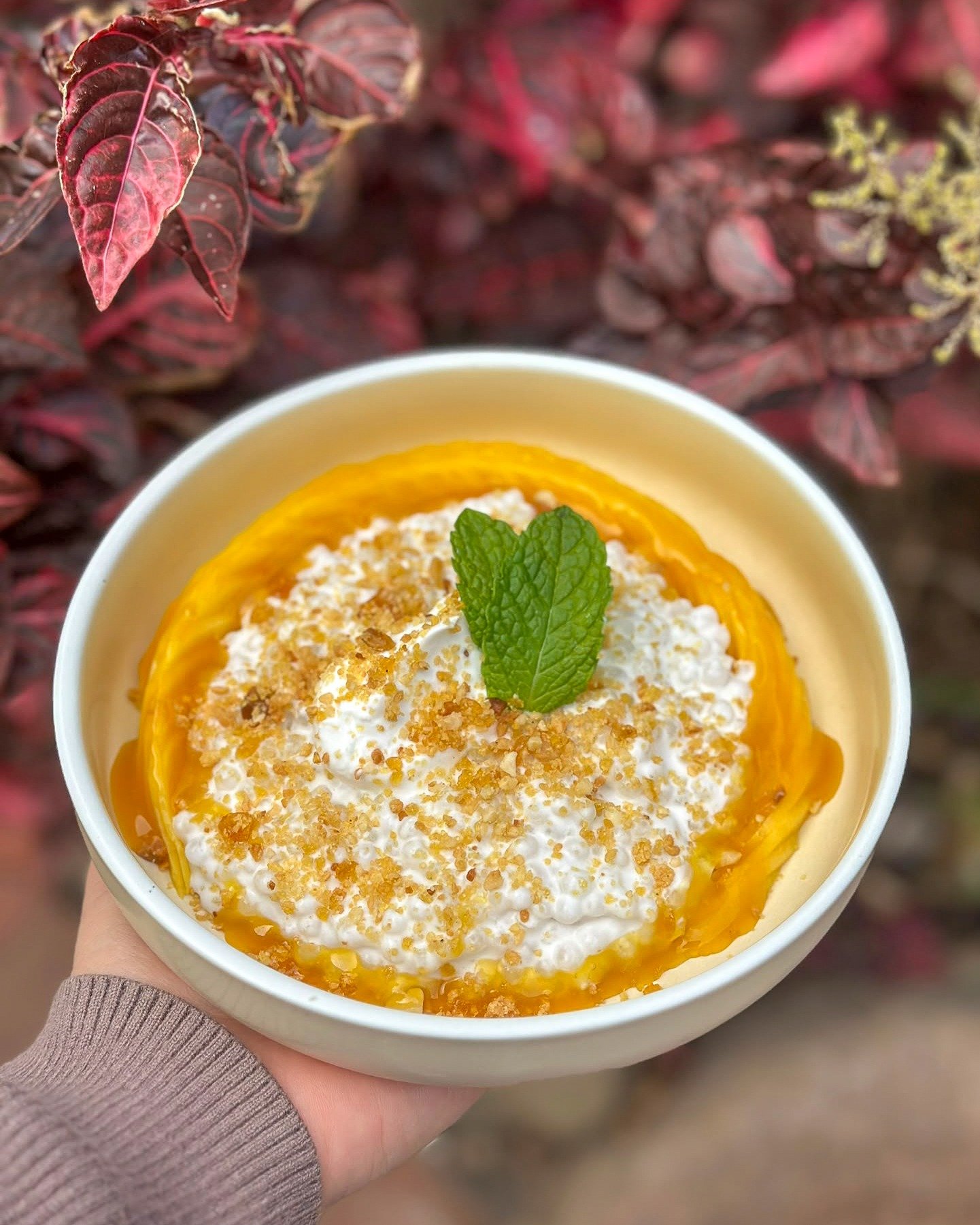 🥭 MENU UPDATE, MERIMBULA! WE HAVE A NEW LITTLE DELIGHT. 🧡💙⁣
⁣
Meet our Coconut Sago Pudding with Fresh Mango &amp; Macadamia Praline. Creamy, tropical, a little nutty and ridiculously lovely. That gorgeous mango, the coconut sago and the crunch of