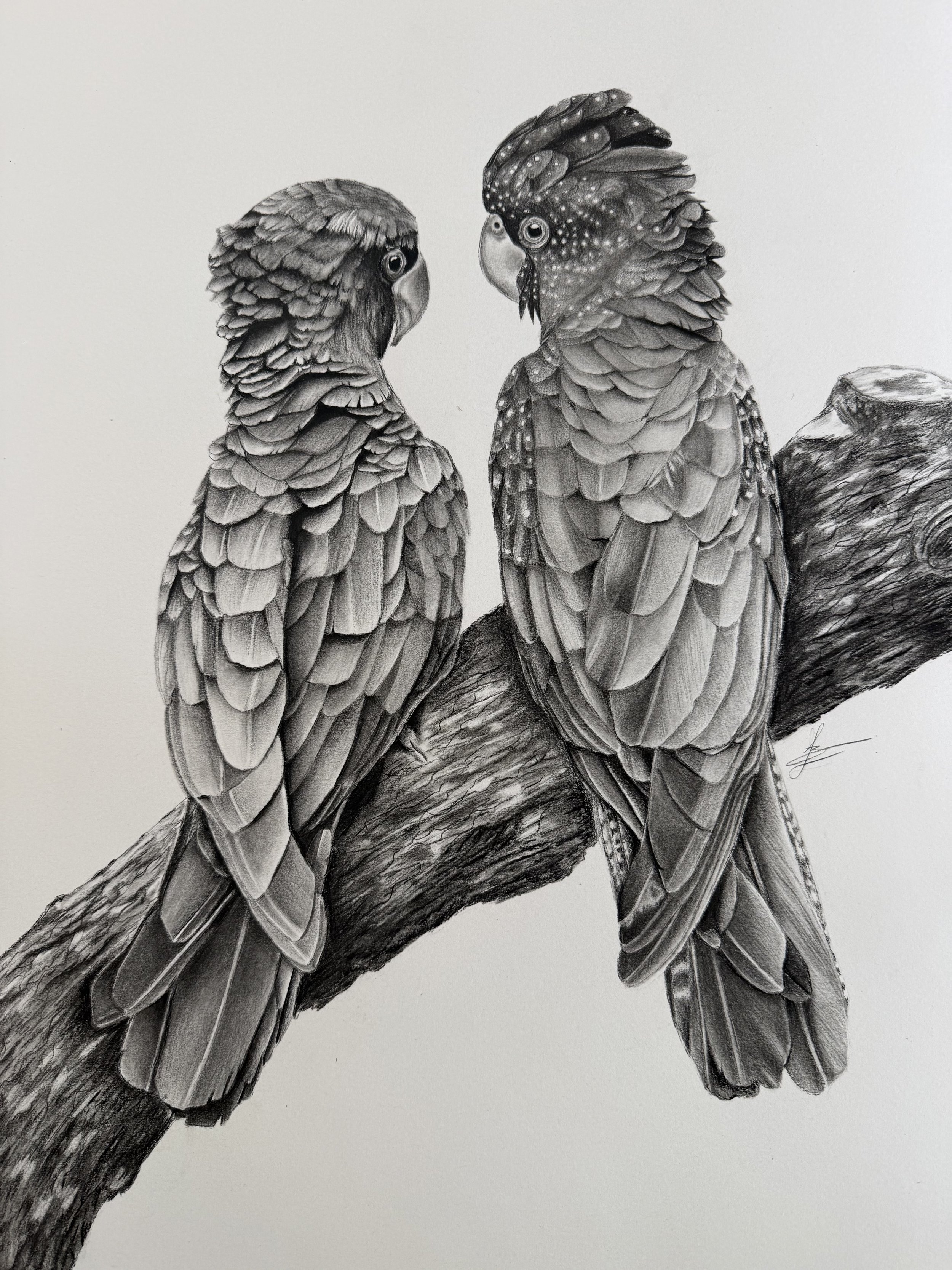 "Bird Talk" Original Artwork