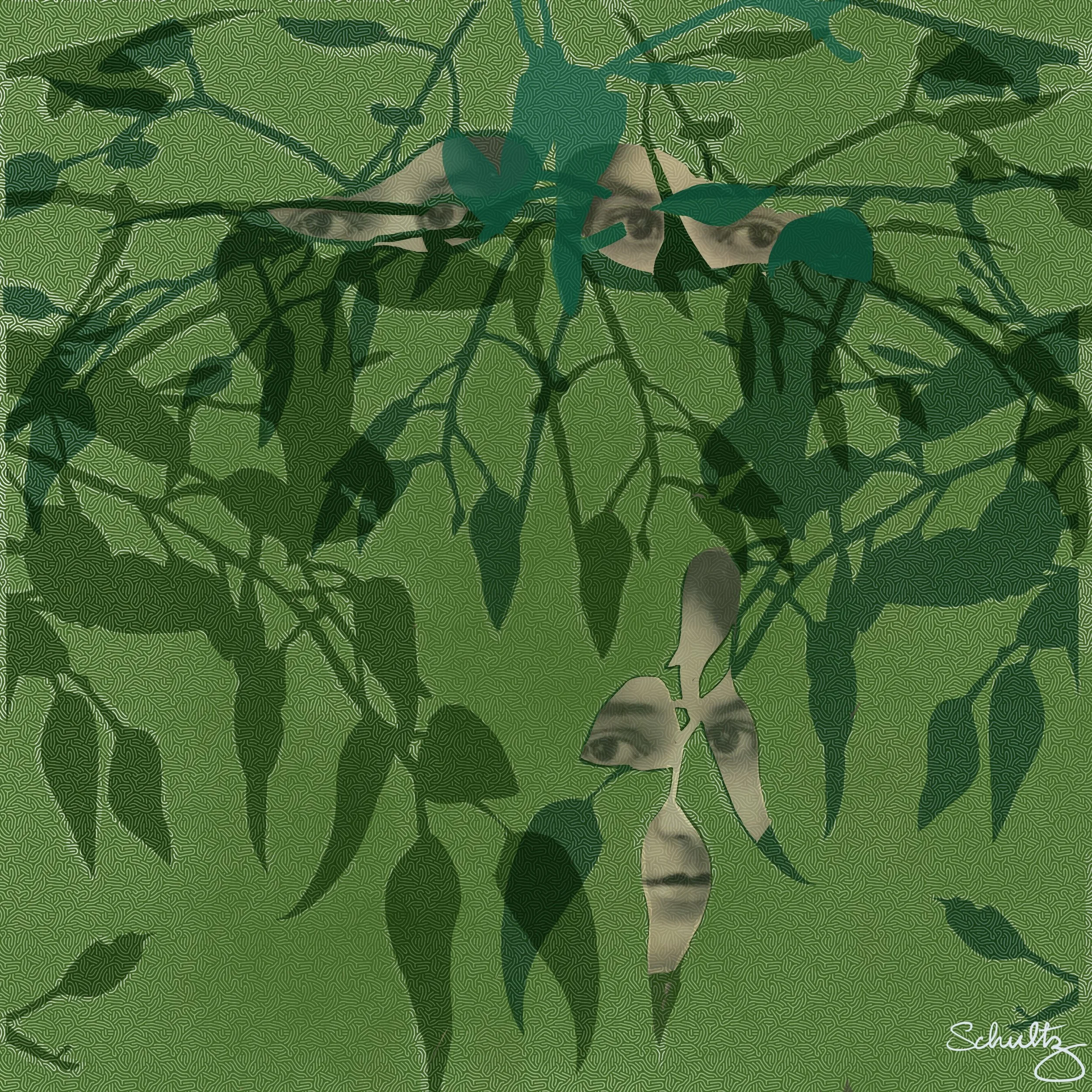 Who is watching — Digital art by Cathy Schultz