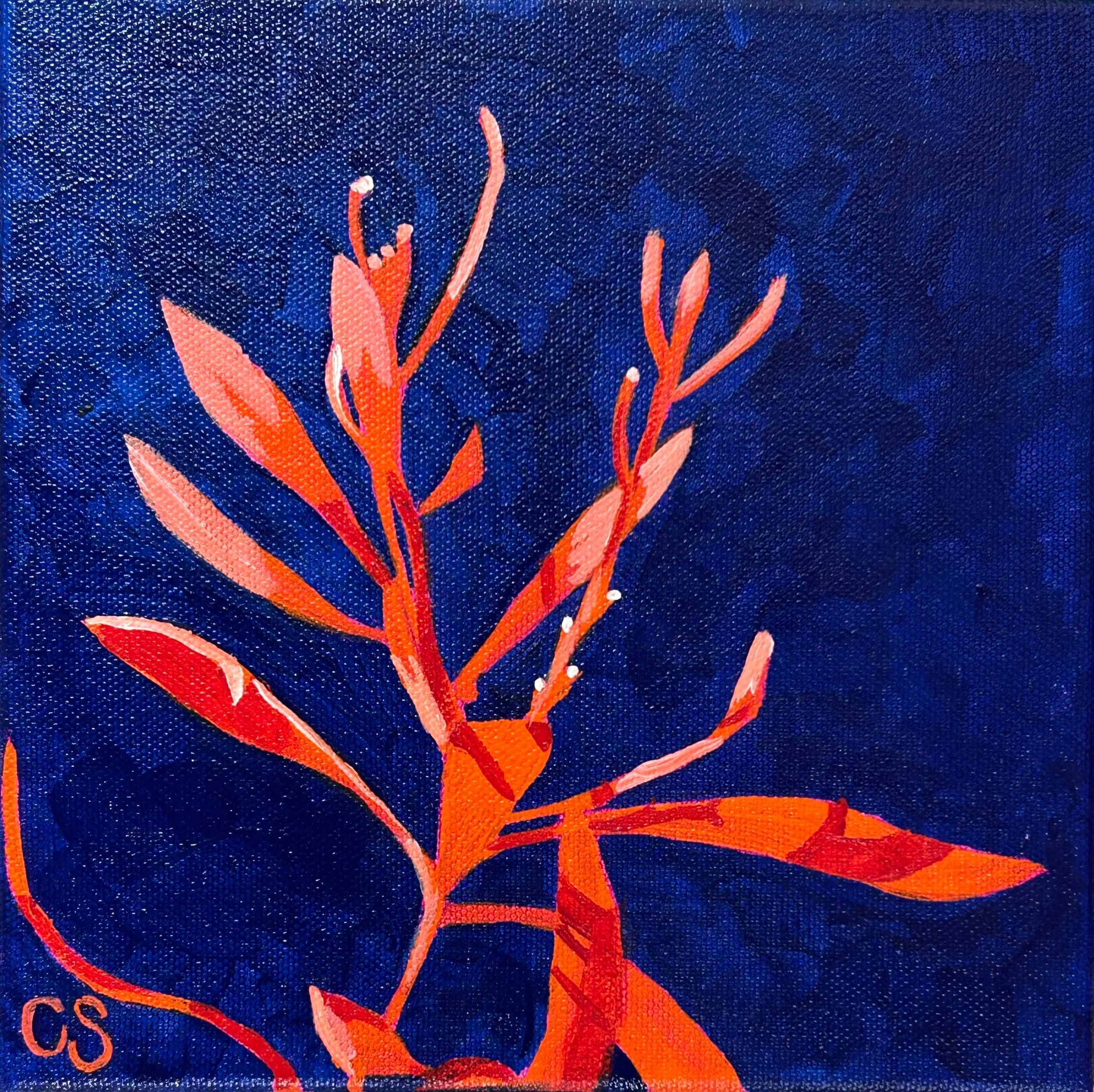 Orange hues with pthalo blue background 8x8" acrylics on canvas