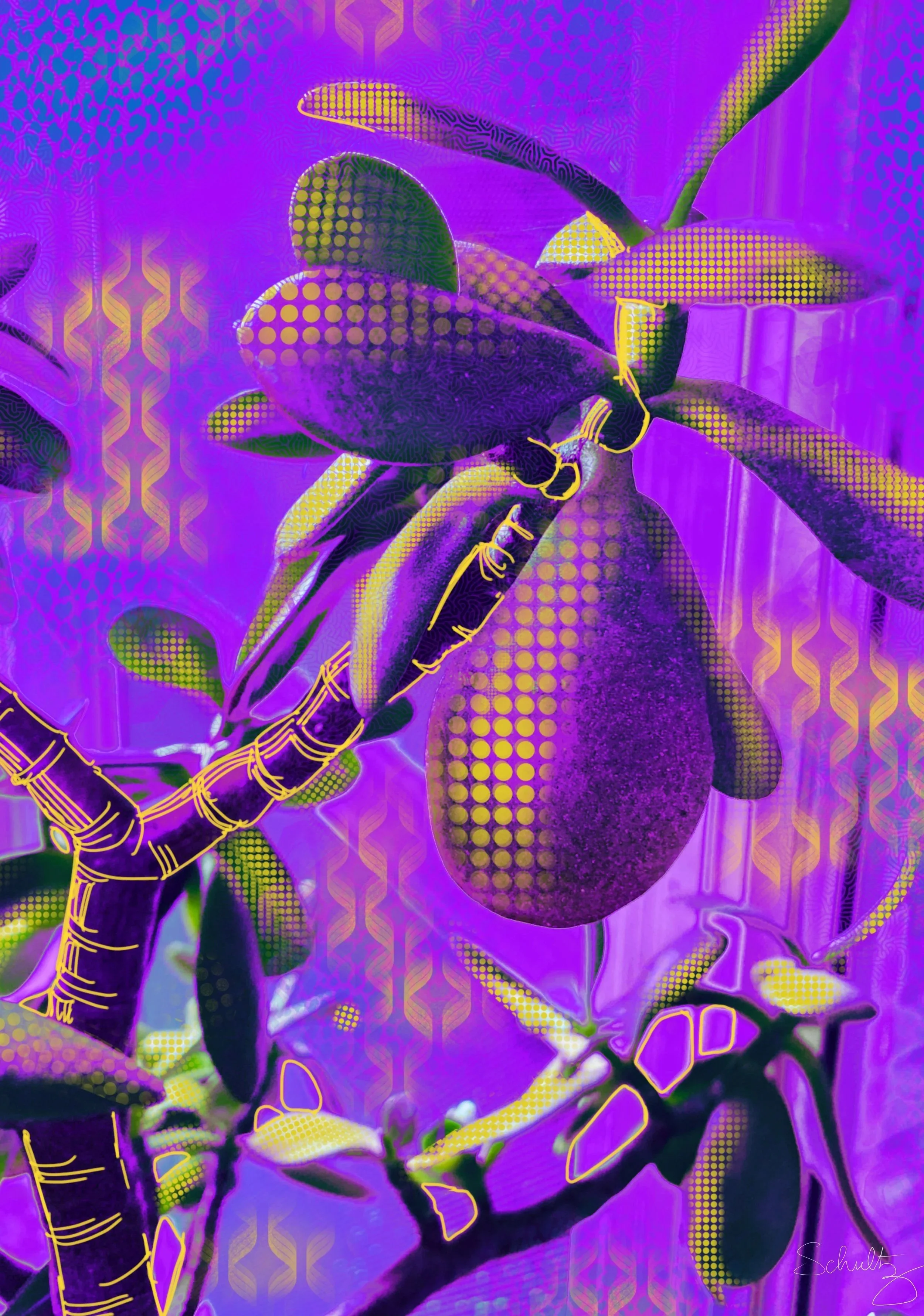 purple & golden fruit — Digitally manipulated by Cathy Schultz