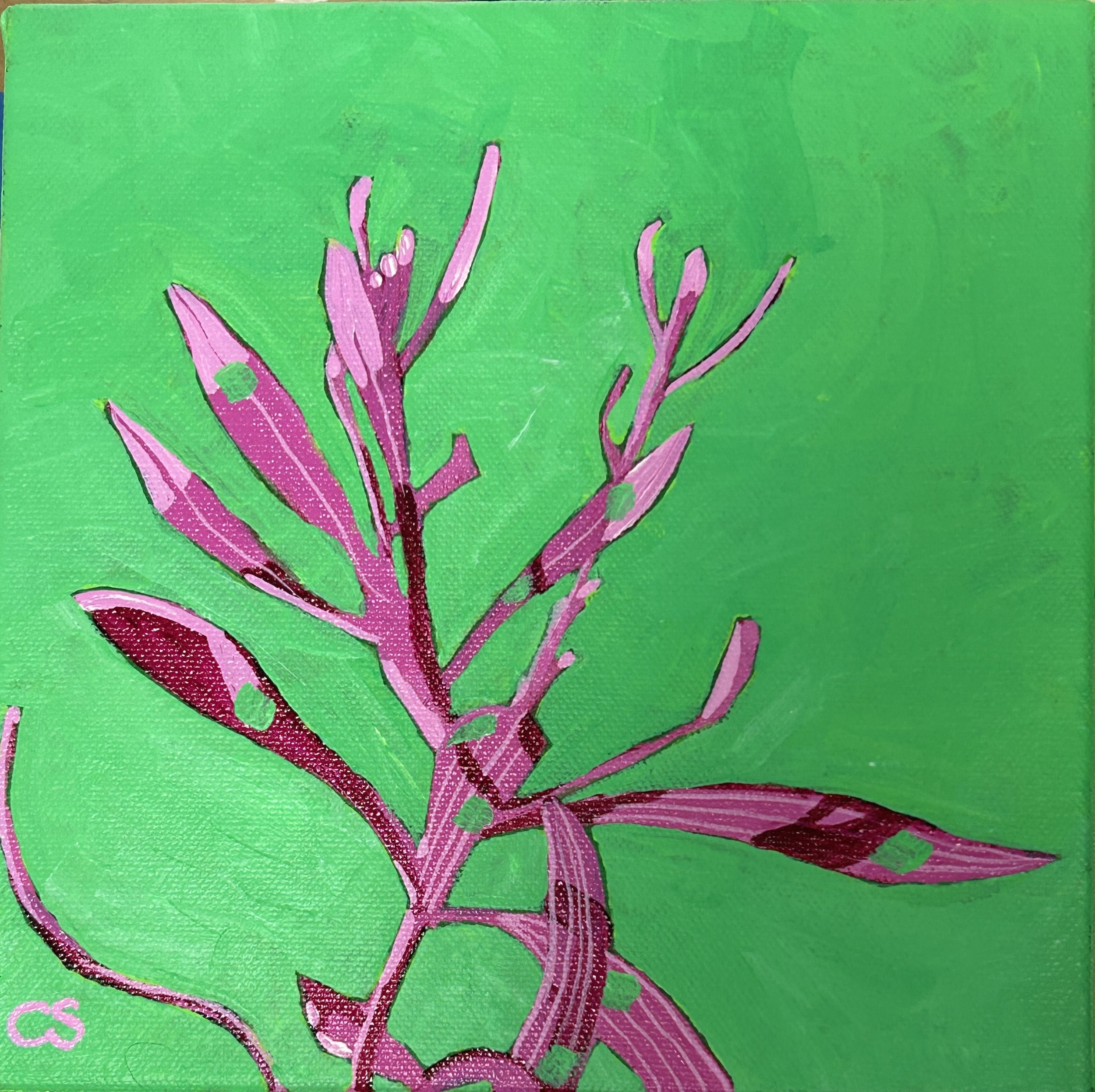 pink hues with lime green background 8x8" acrylics on canvas