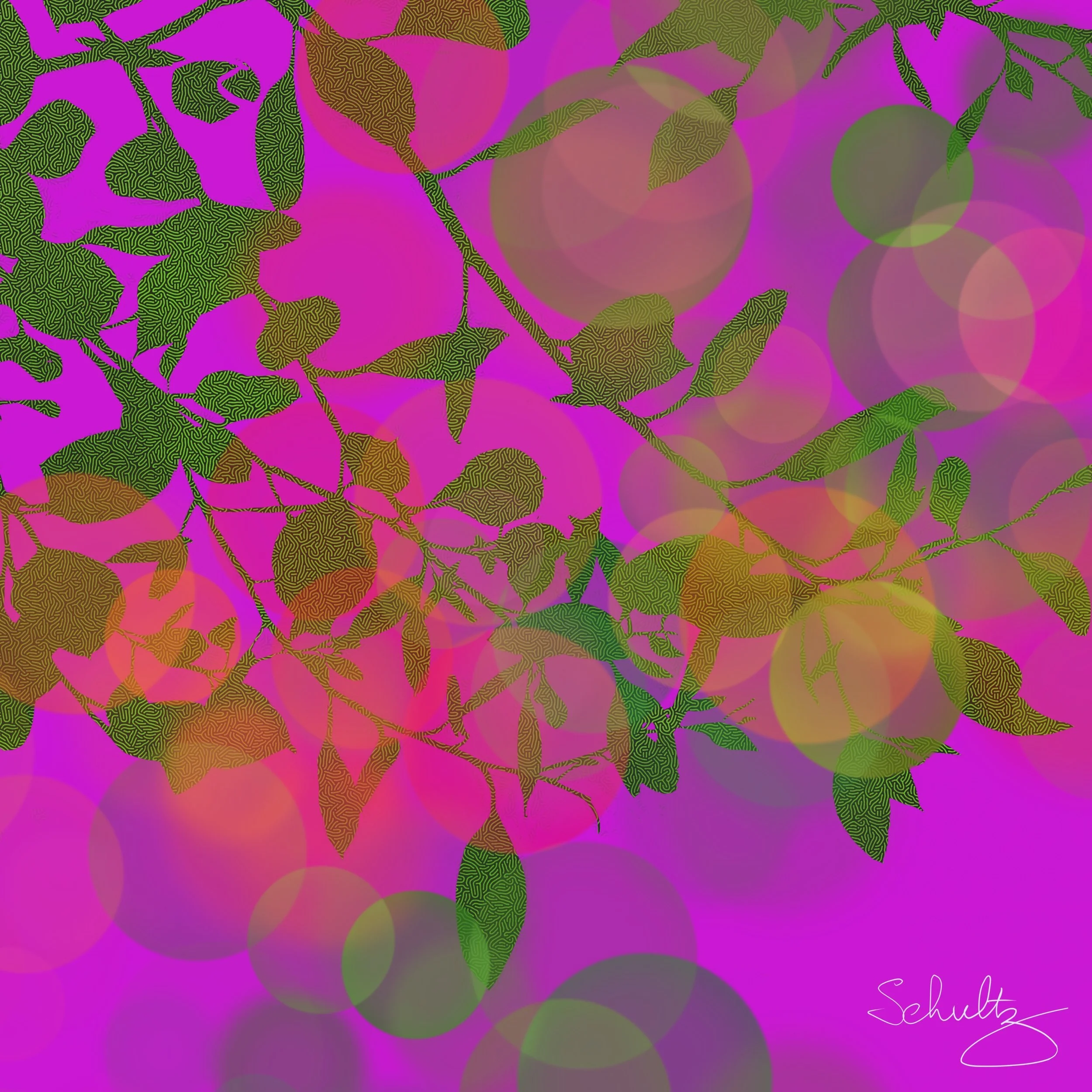 Hot purple, green & pink  hues — digitally manipulated image by Cathy Schultz