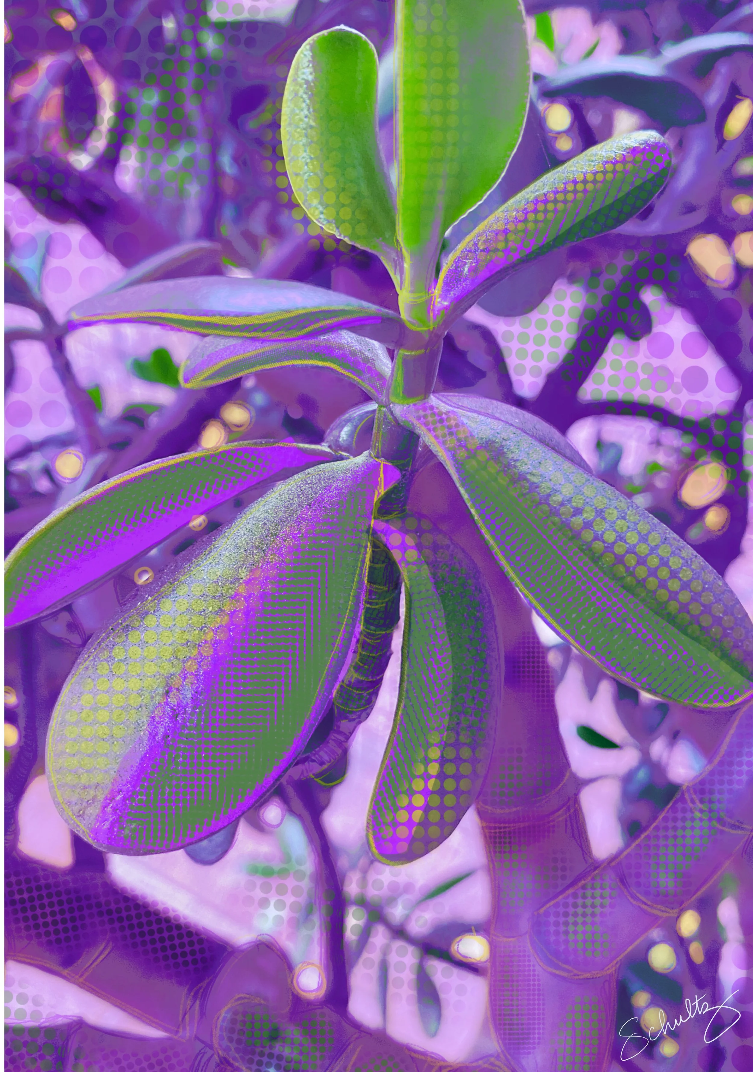 purple embodied spectacle — Digitally manipulated by Cathy Schultz