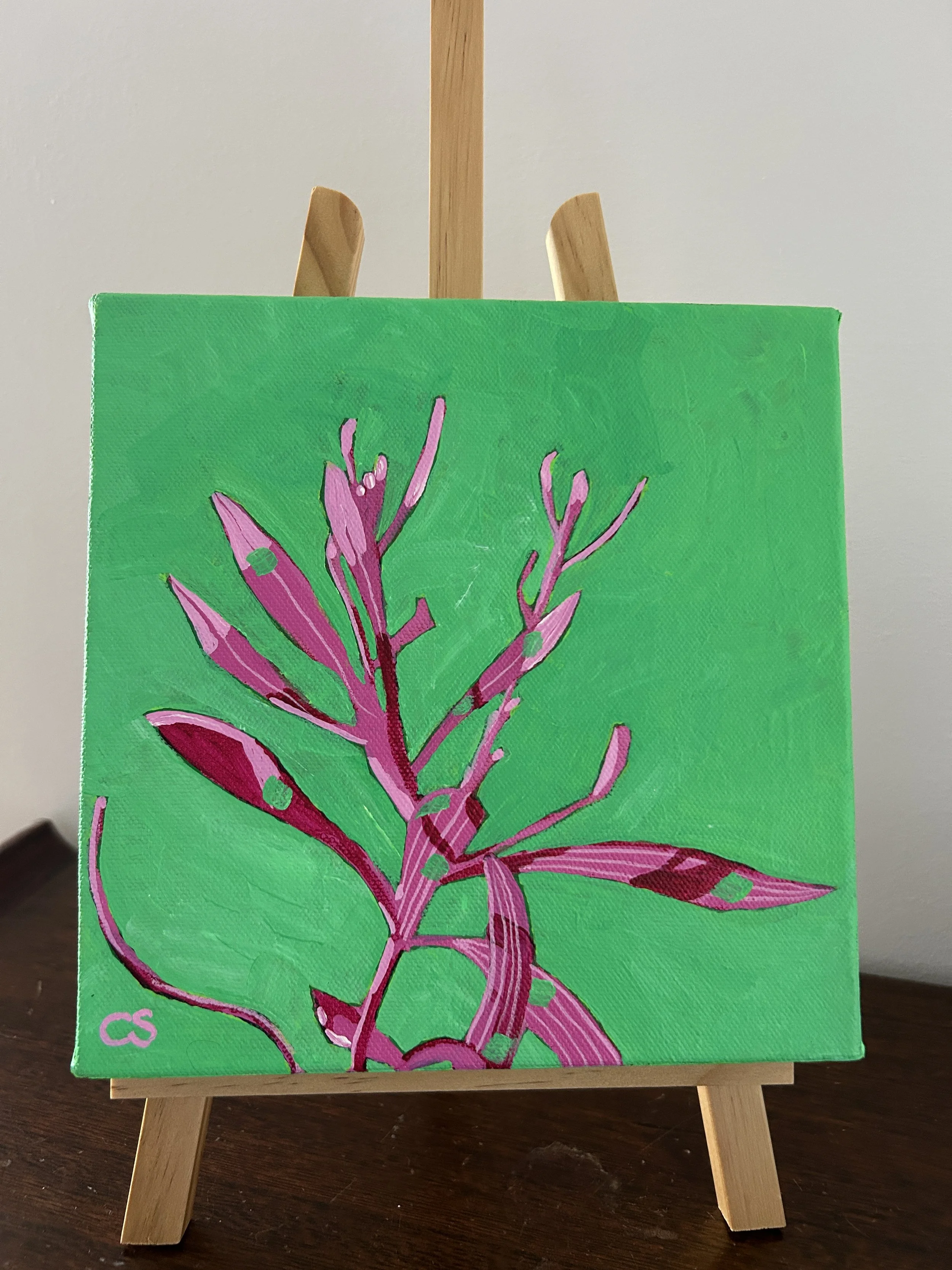 Hakea in Pink & Spearmint – Painted to Order