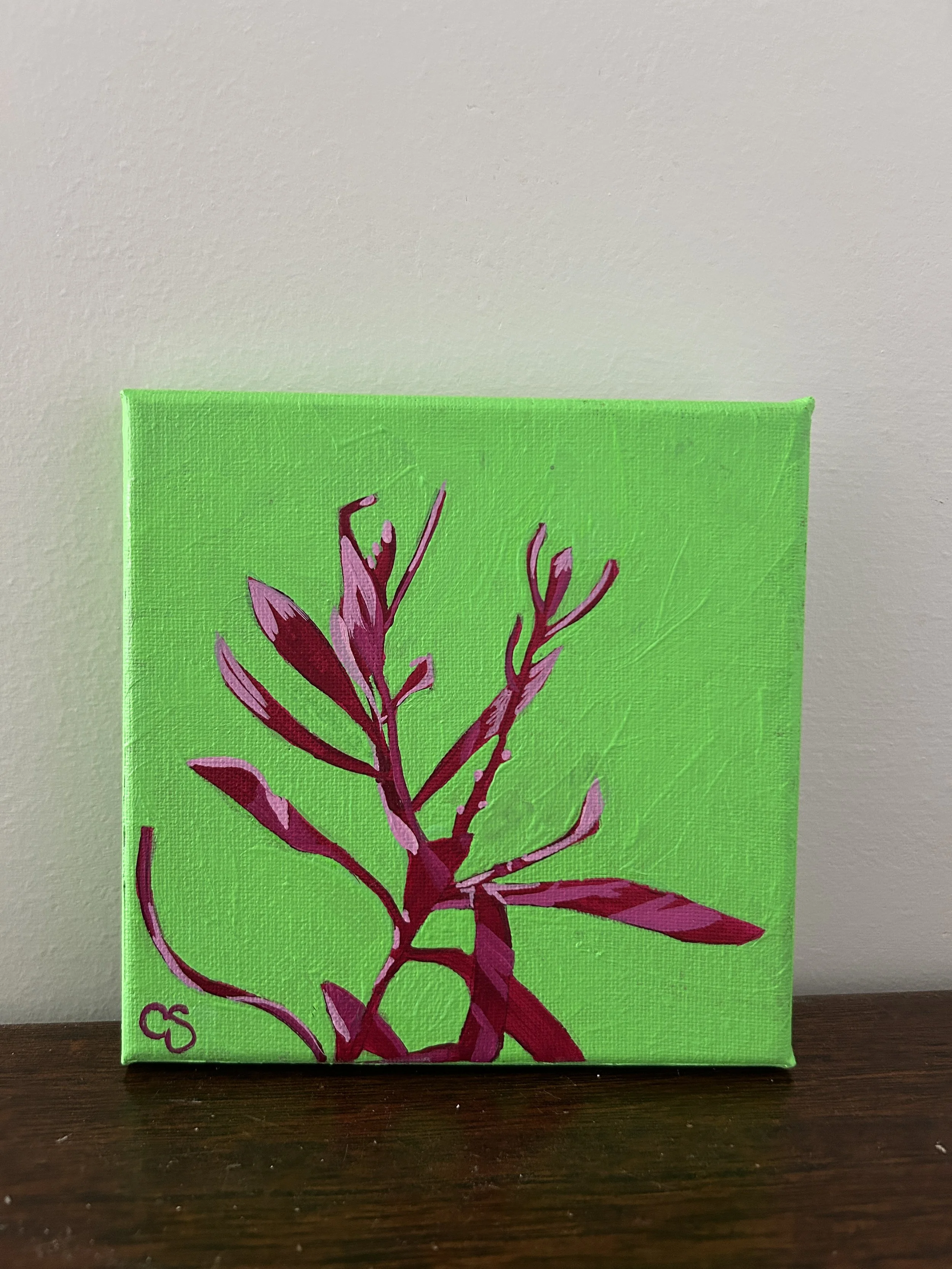 Hakea in Reds & Lime background – Painted to Order