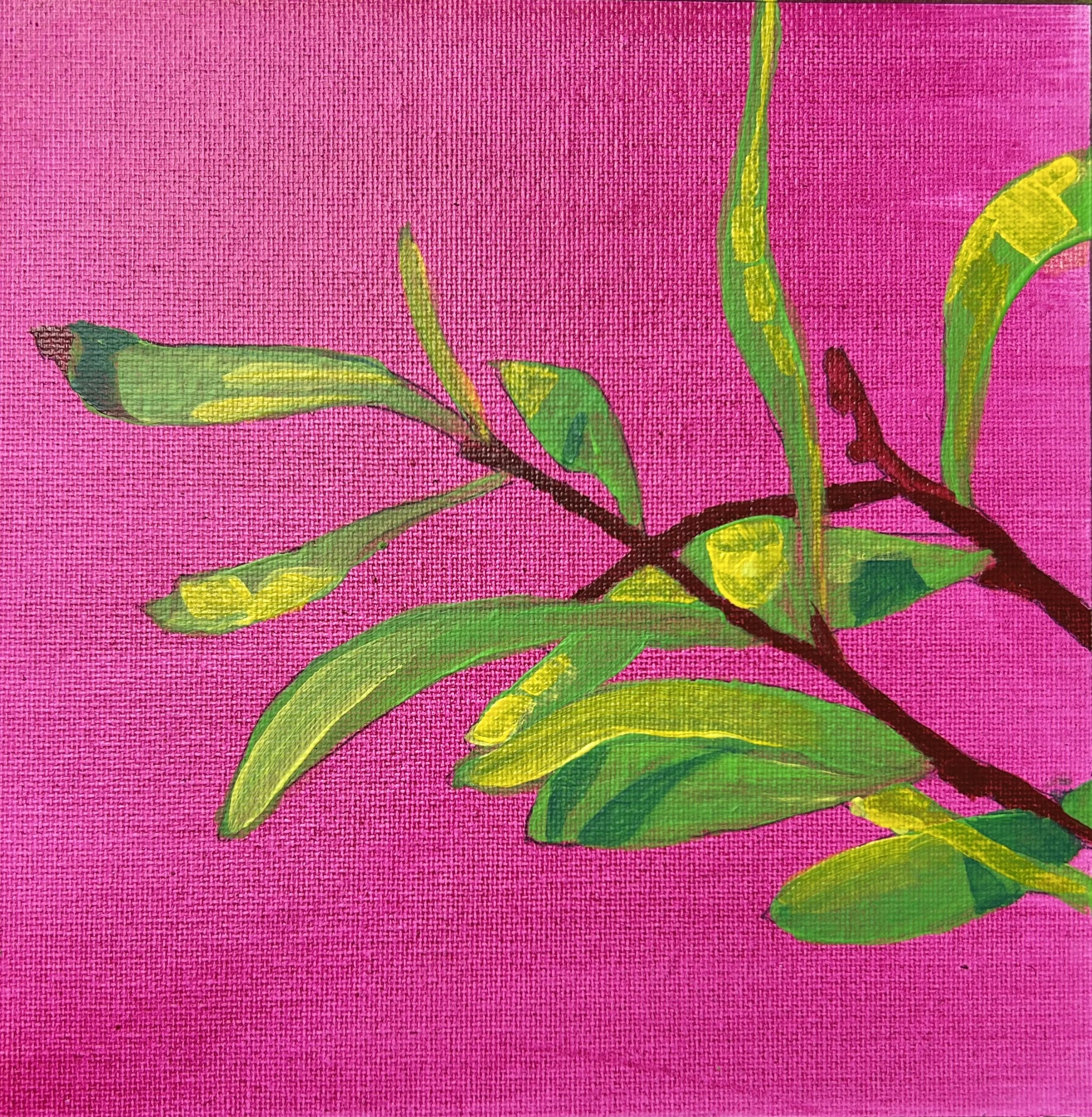 green hues on magenta background, 8x8" acrylics on canvas