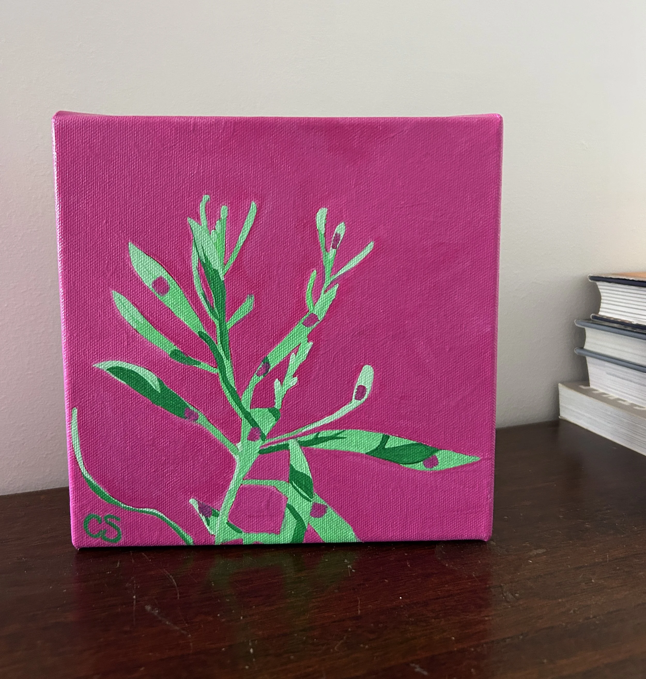 CathySchultz_Mint&Pink-PopBotanical.jpg