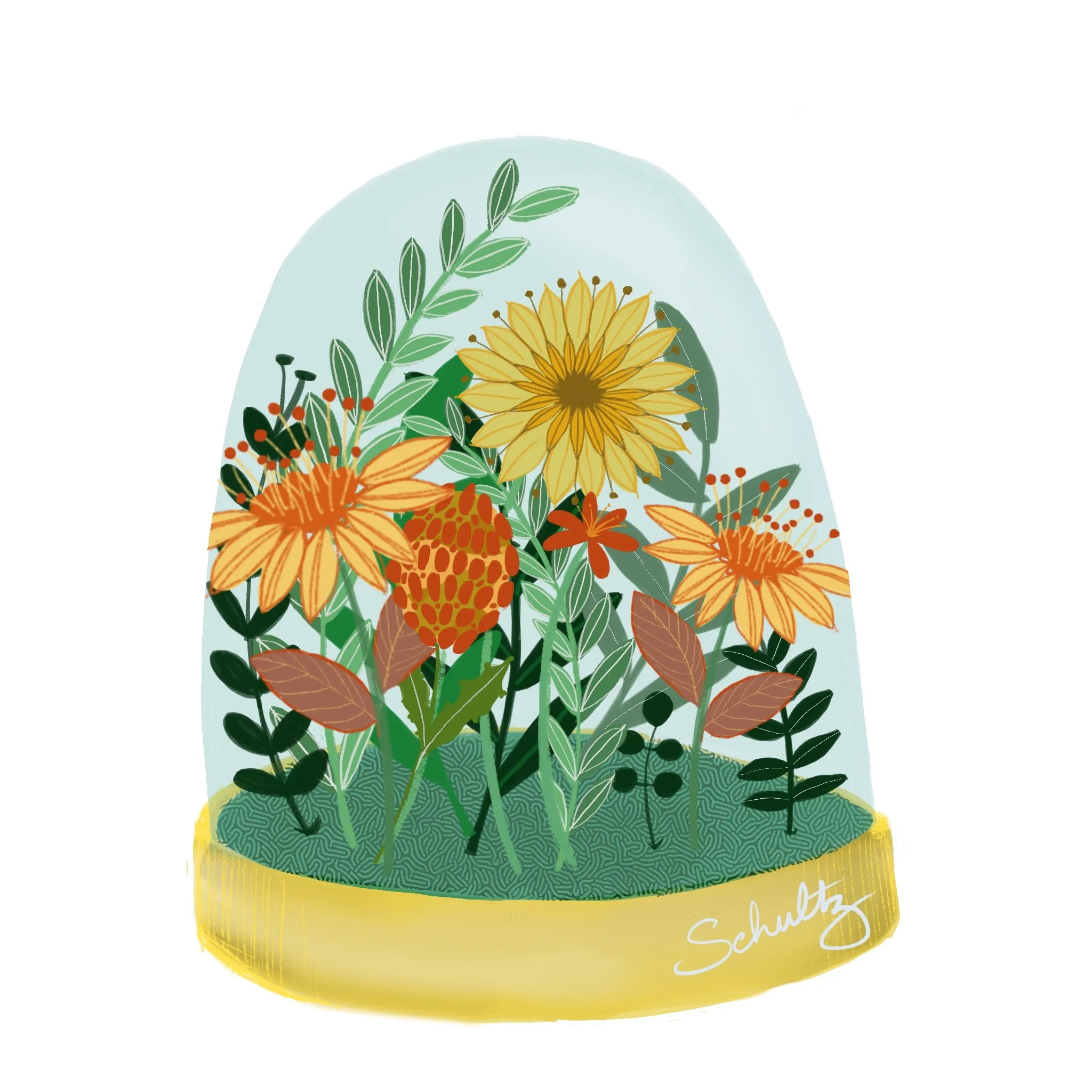 Illustration by Cathy Schultz