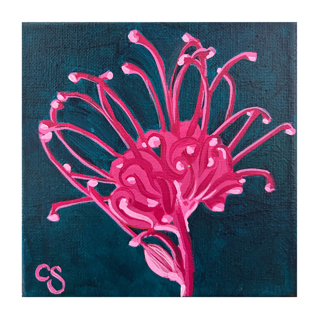 CSArt-PInks&Navy-Grevillea-PopBotanical.png