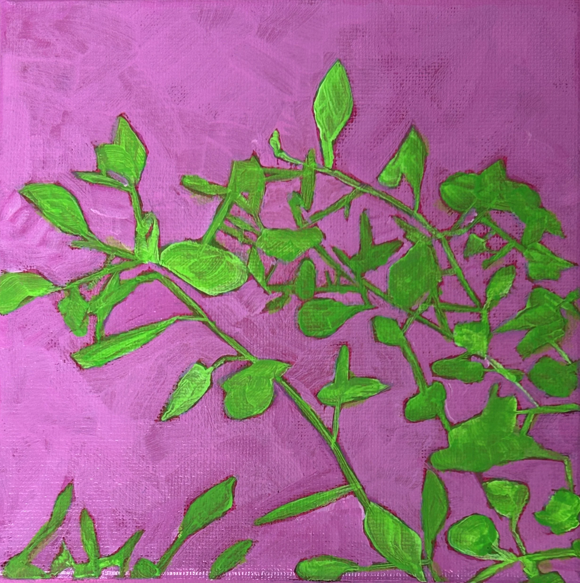 green hues on pink background, 6x6" acrylics on canvas