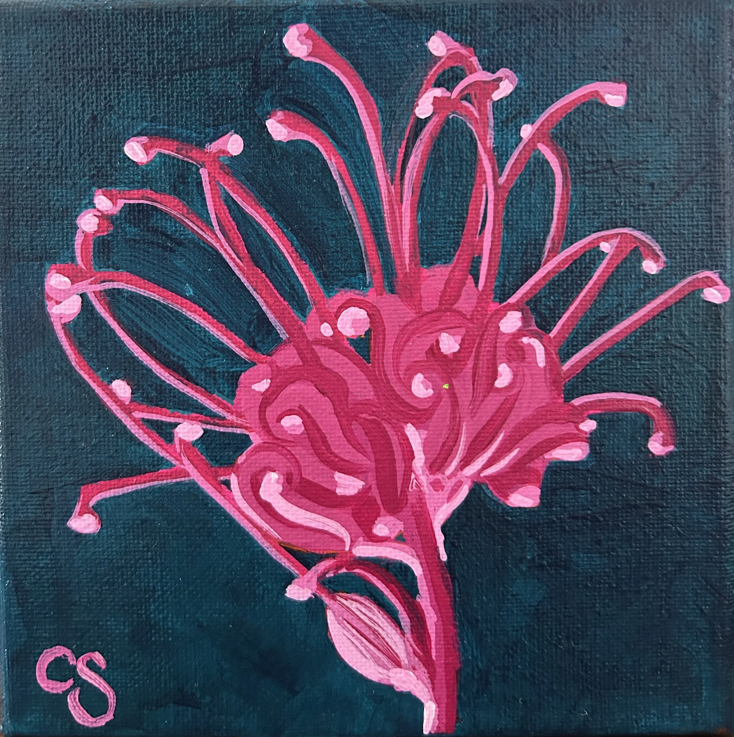 CSArt-Pinks&Navy-Grevillea-PopBotanical.jpg