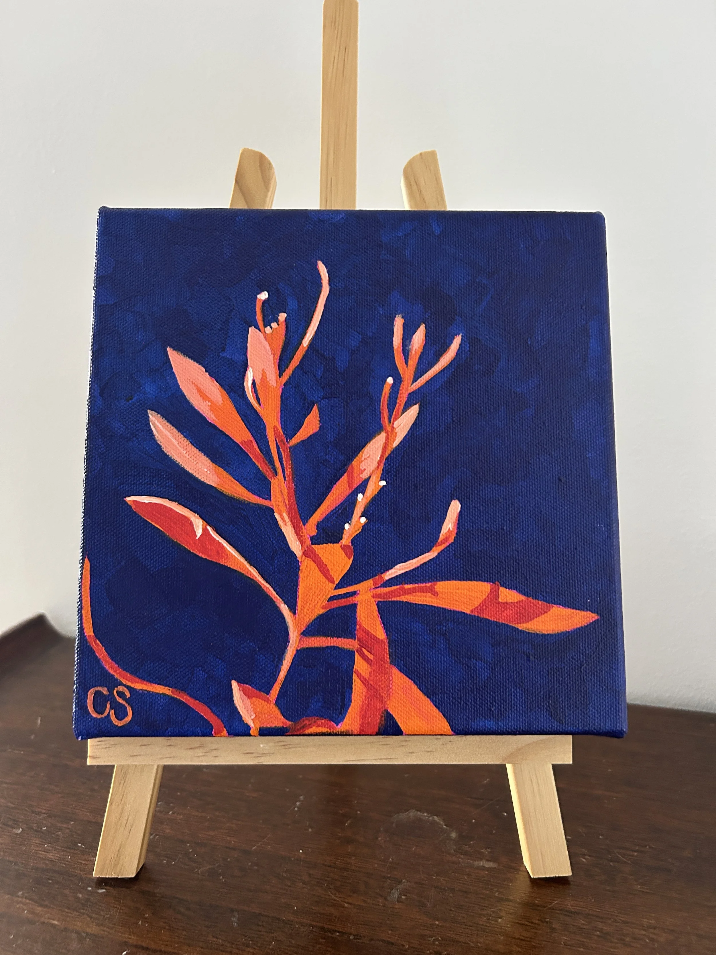 Hakea in Tangerine & Navy Blues – Painted to Order