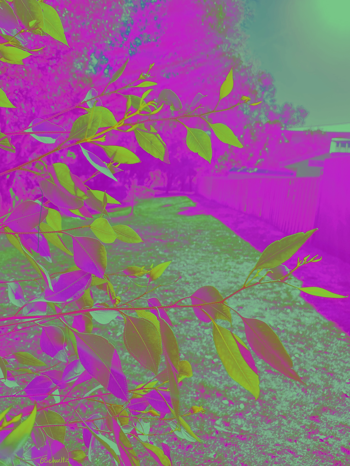 Screenshot 2026-07-16 at 3.47.00 pm.png