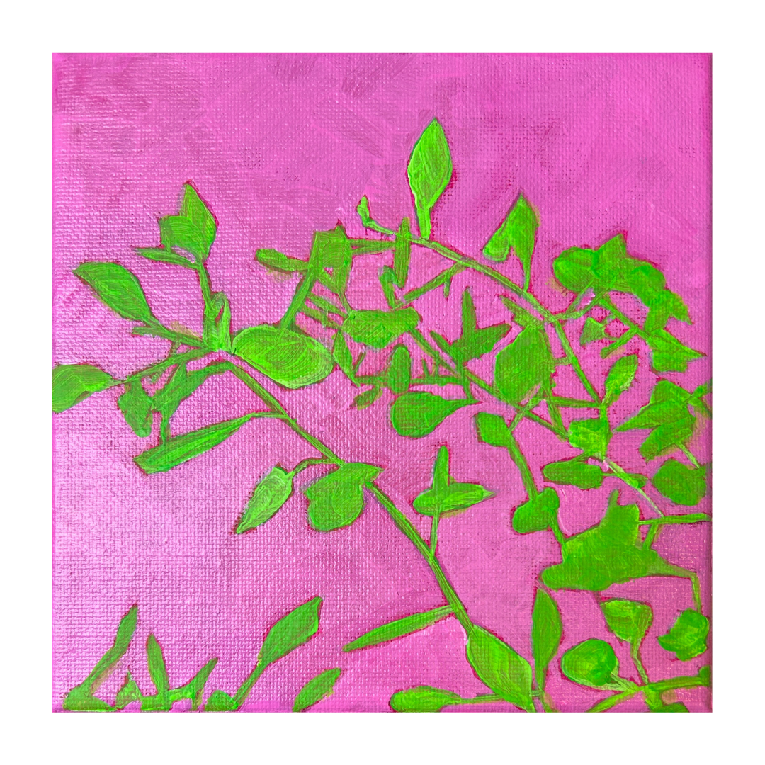 CSArt-Limes&Magenta-Hakea-PopBotanical (2).png