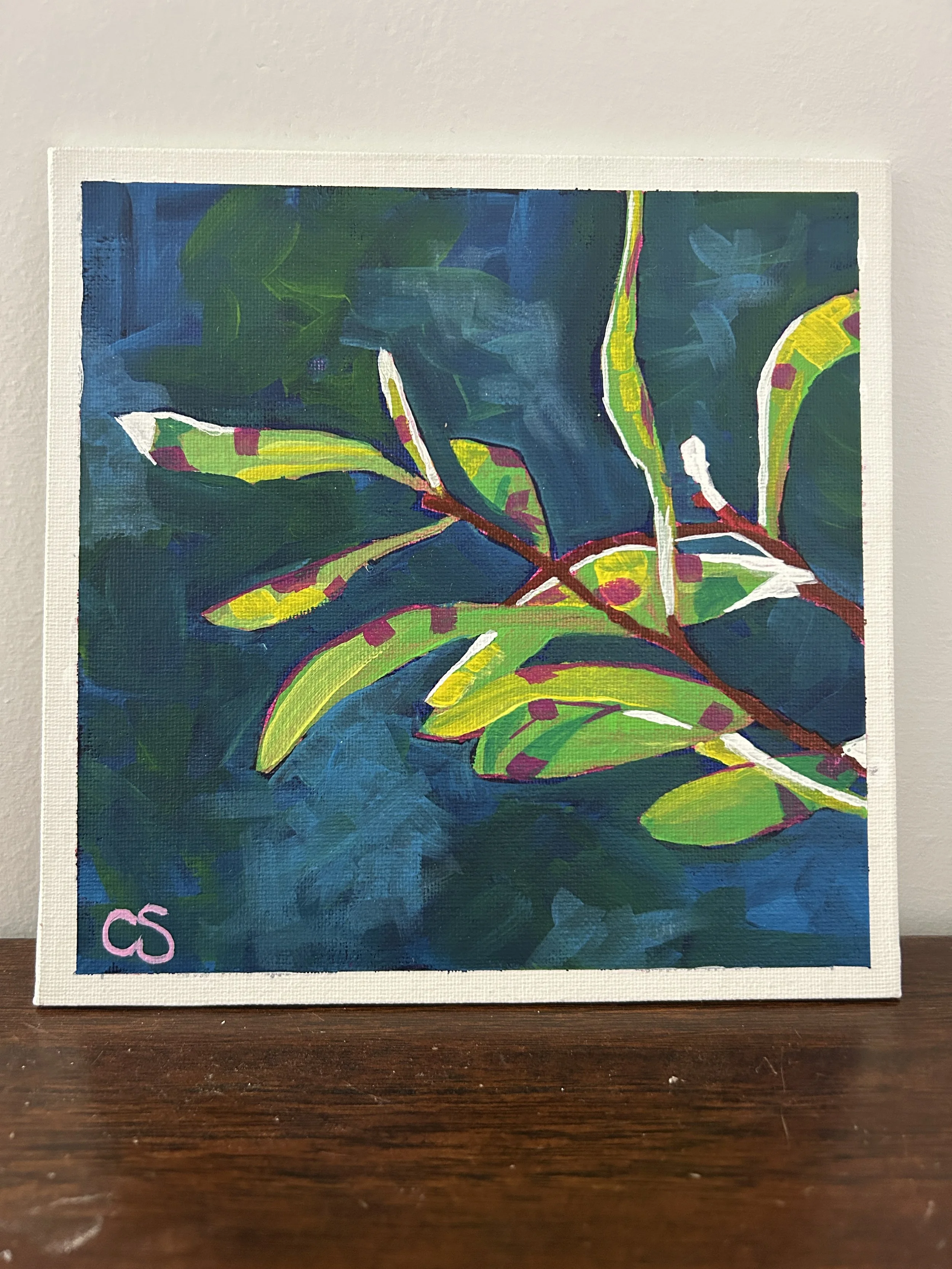 Hakea leaves in Limes with Blue Hour sky – Painted to Order
