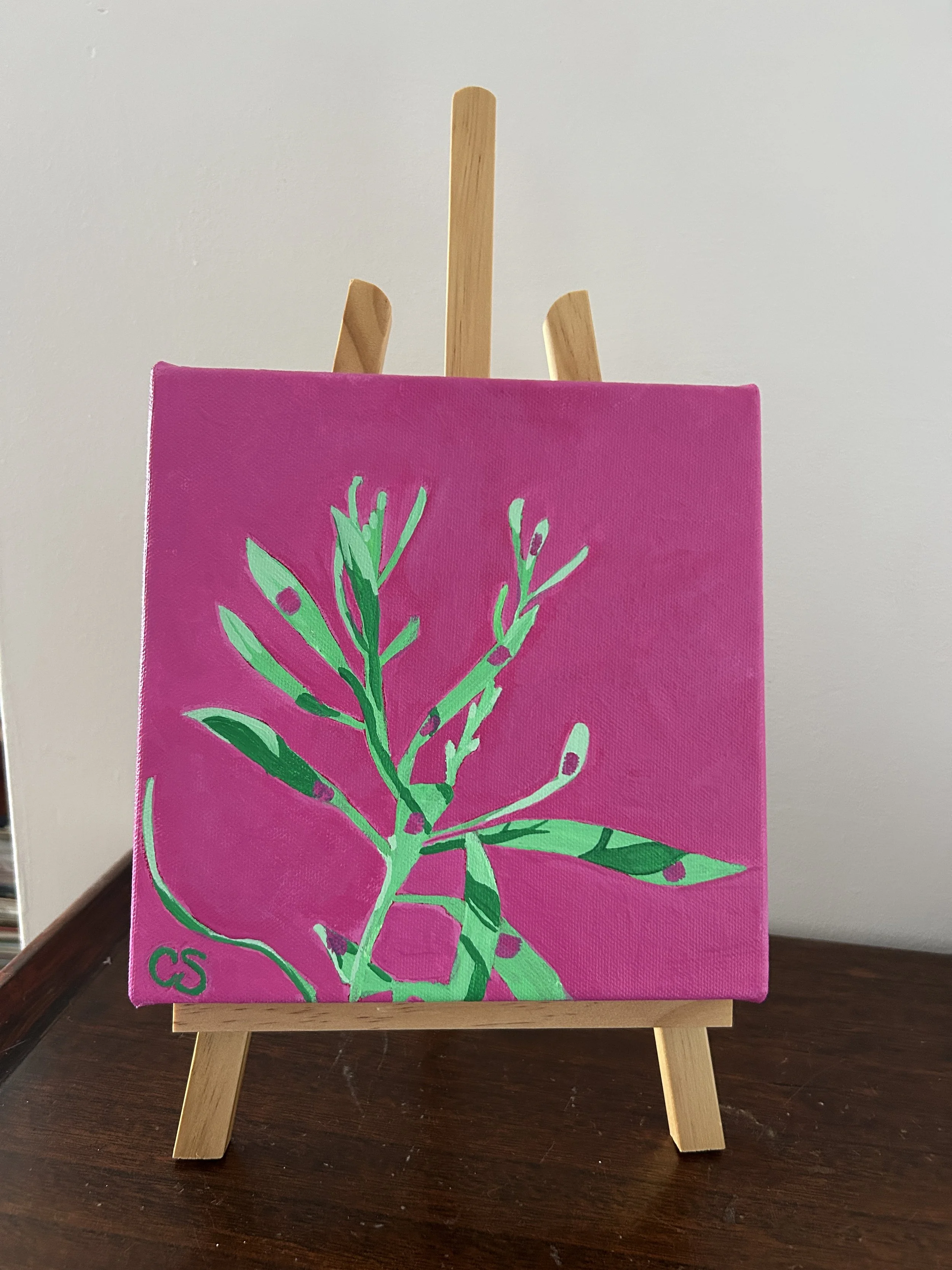Hakea in Mint & Pink background – Painted to Order