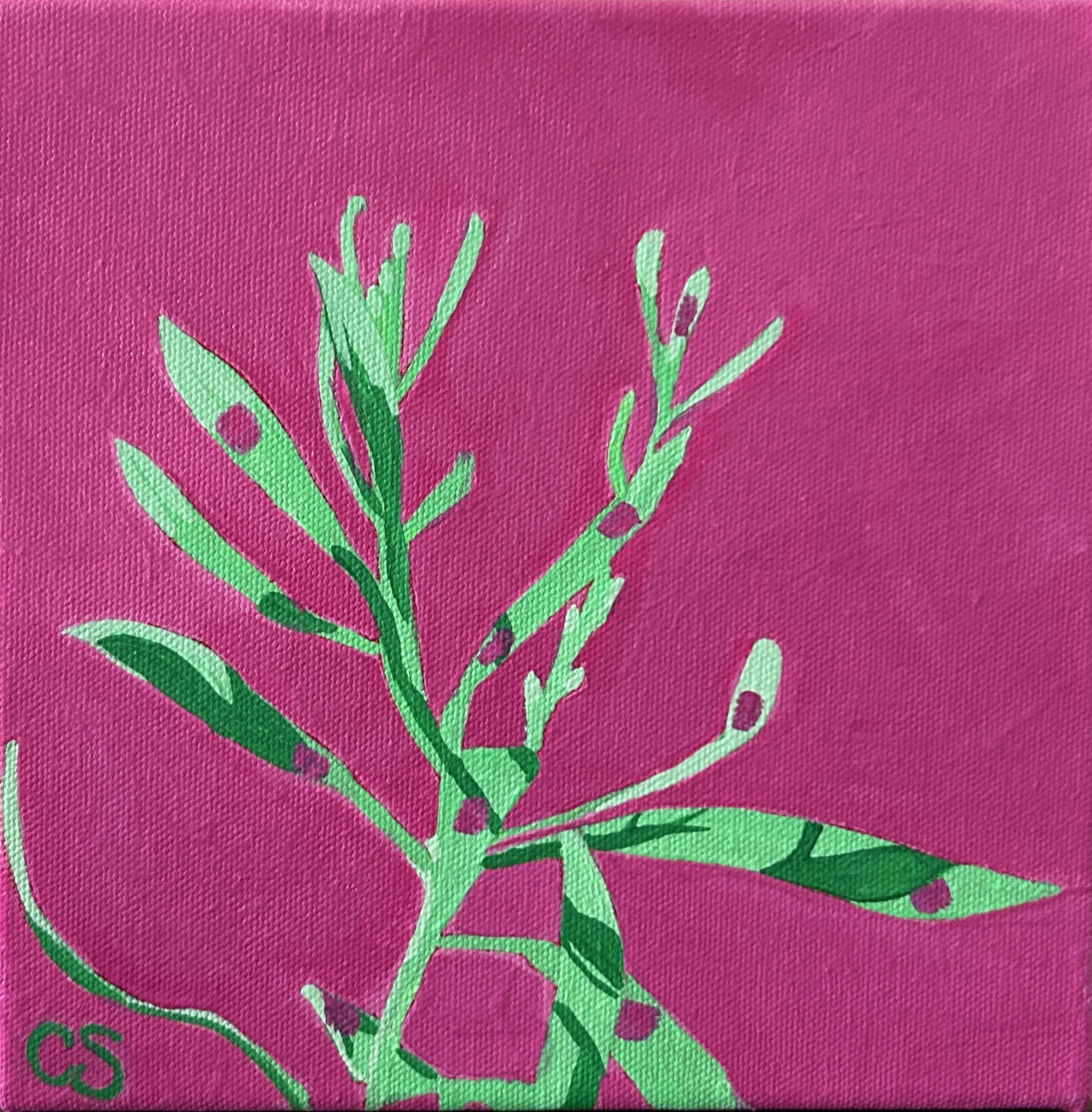 green hues with pink background, 8x8" acrylics on canvas
