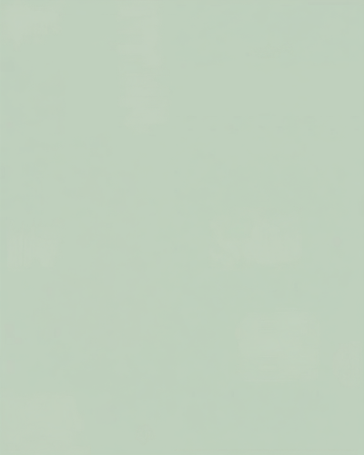 liteSAGE.png