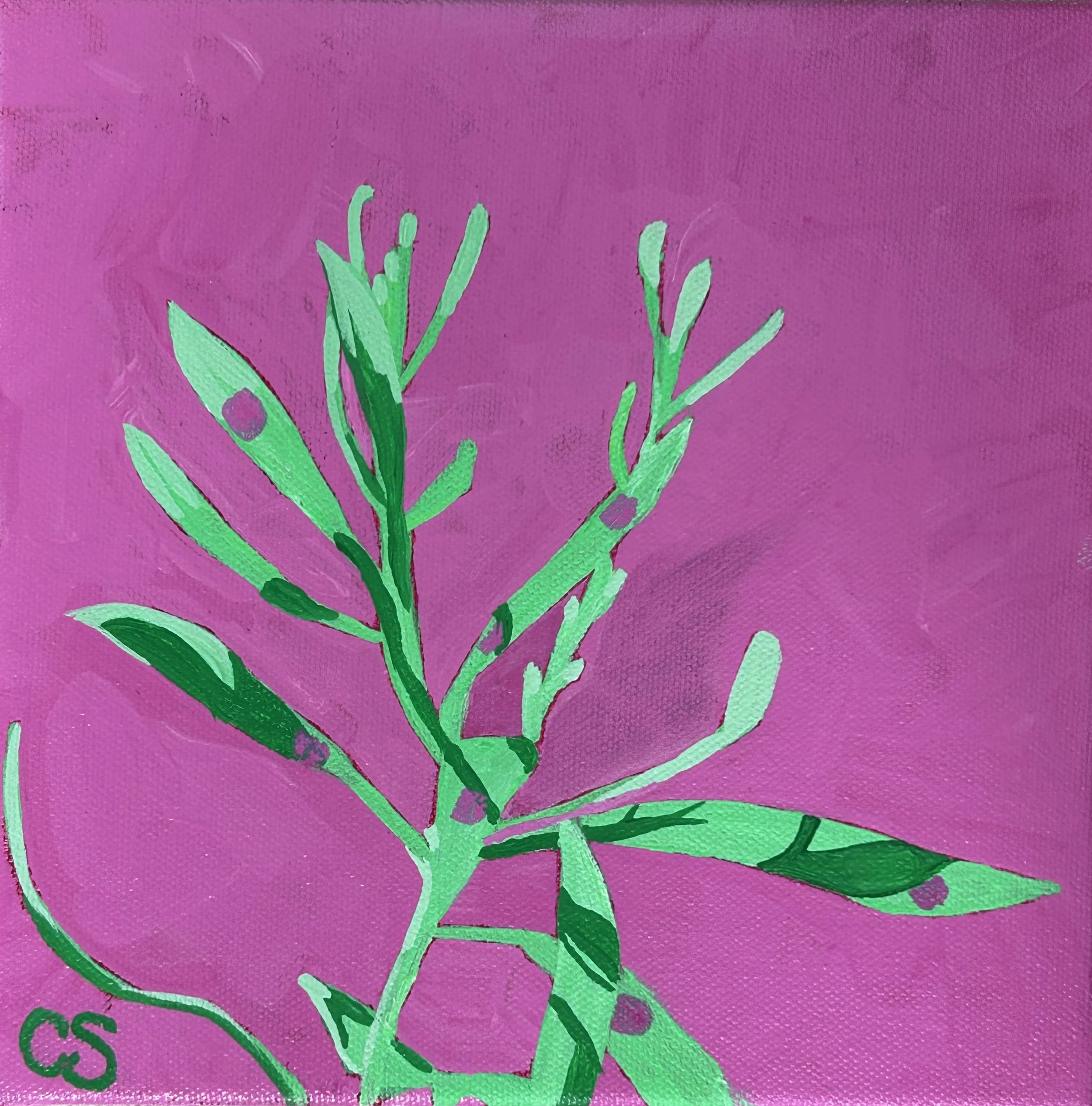 green hues with pink background, 8x8" acrylics on canvas