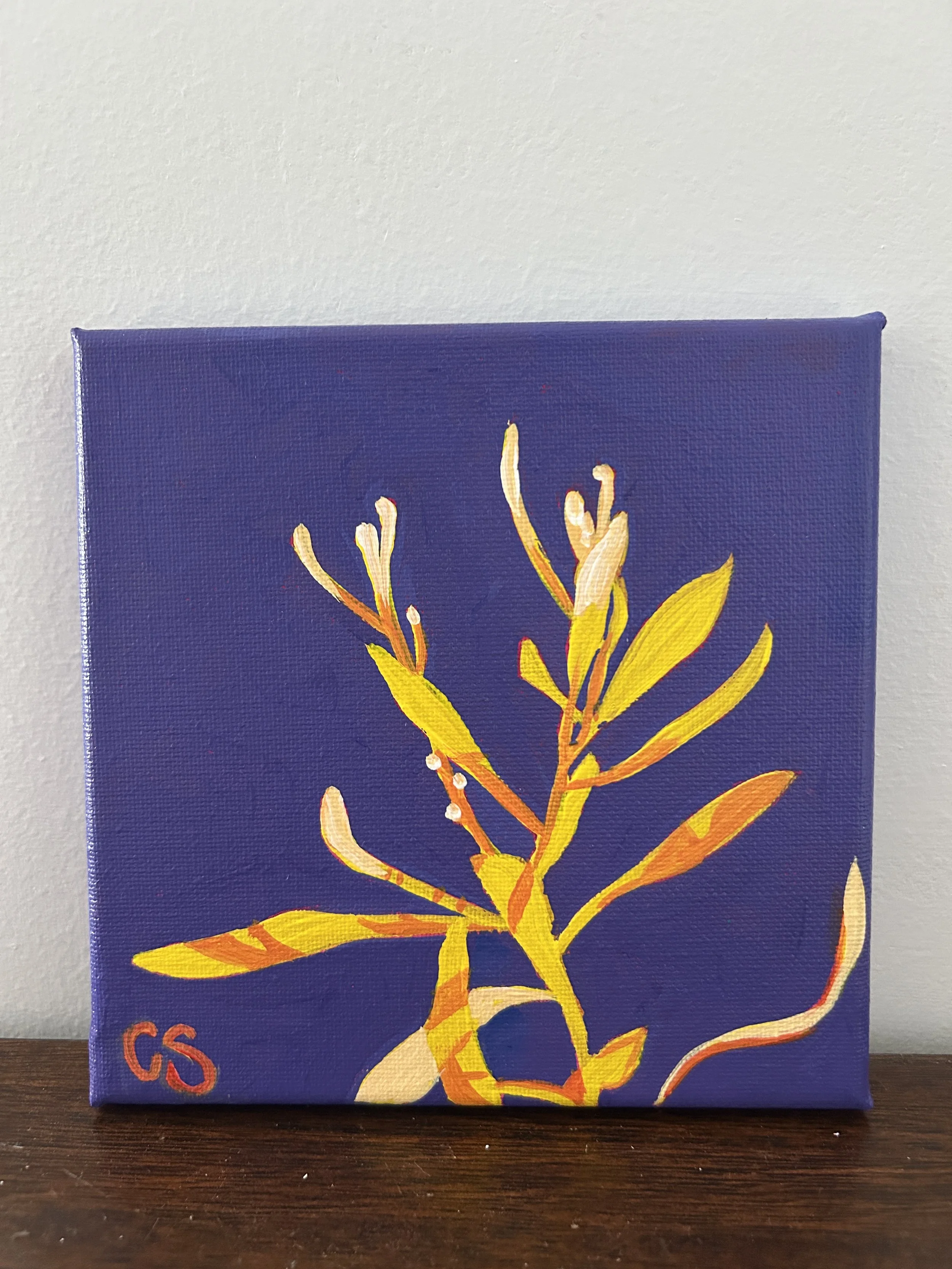 Hakea in Sunshine yellows & Purple background - painted to order.