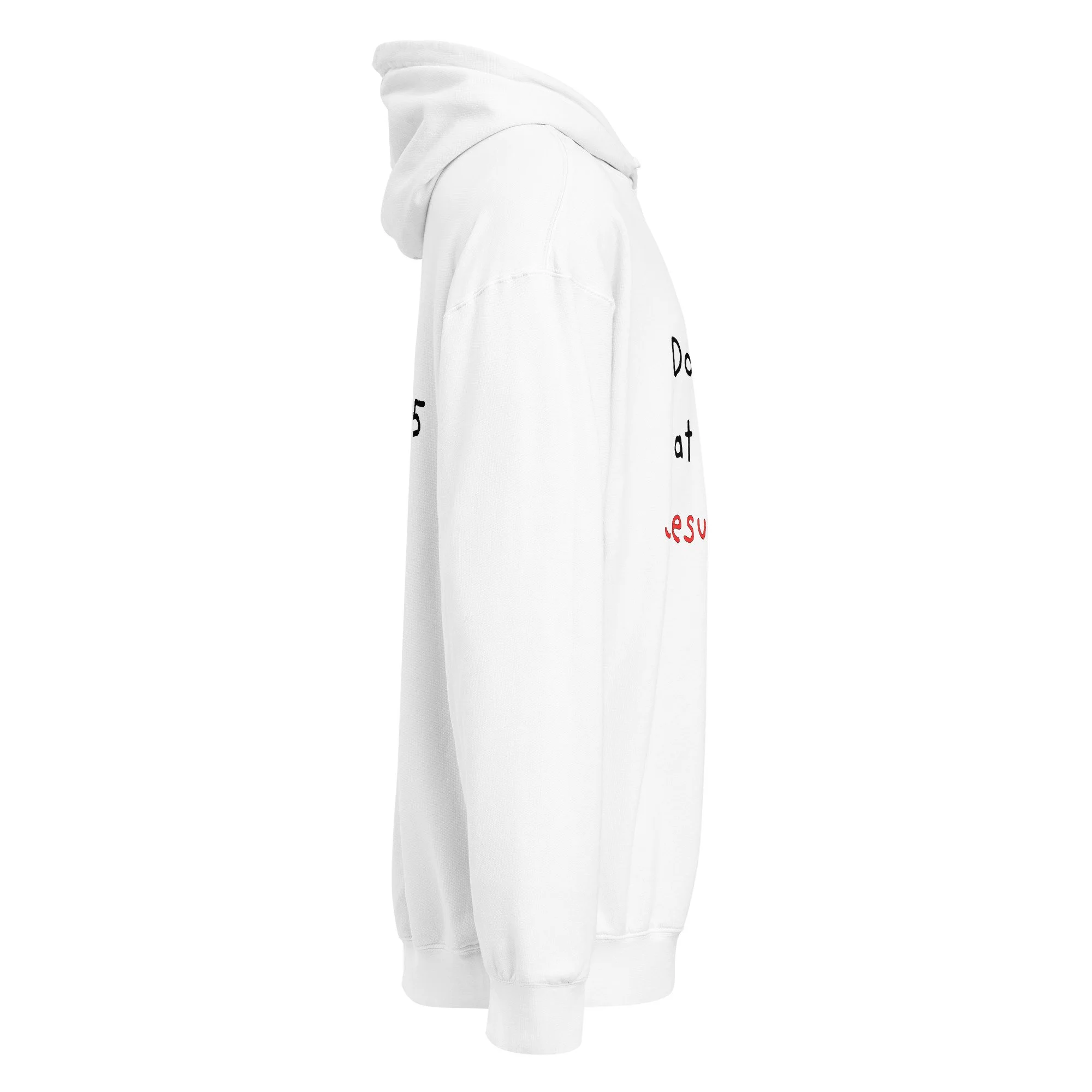 JOHN 2:15 hoodie