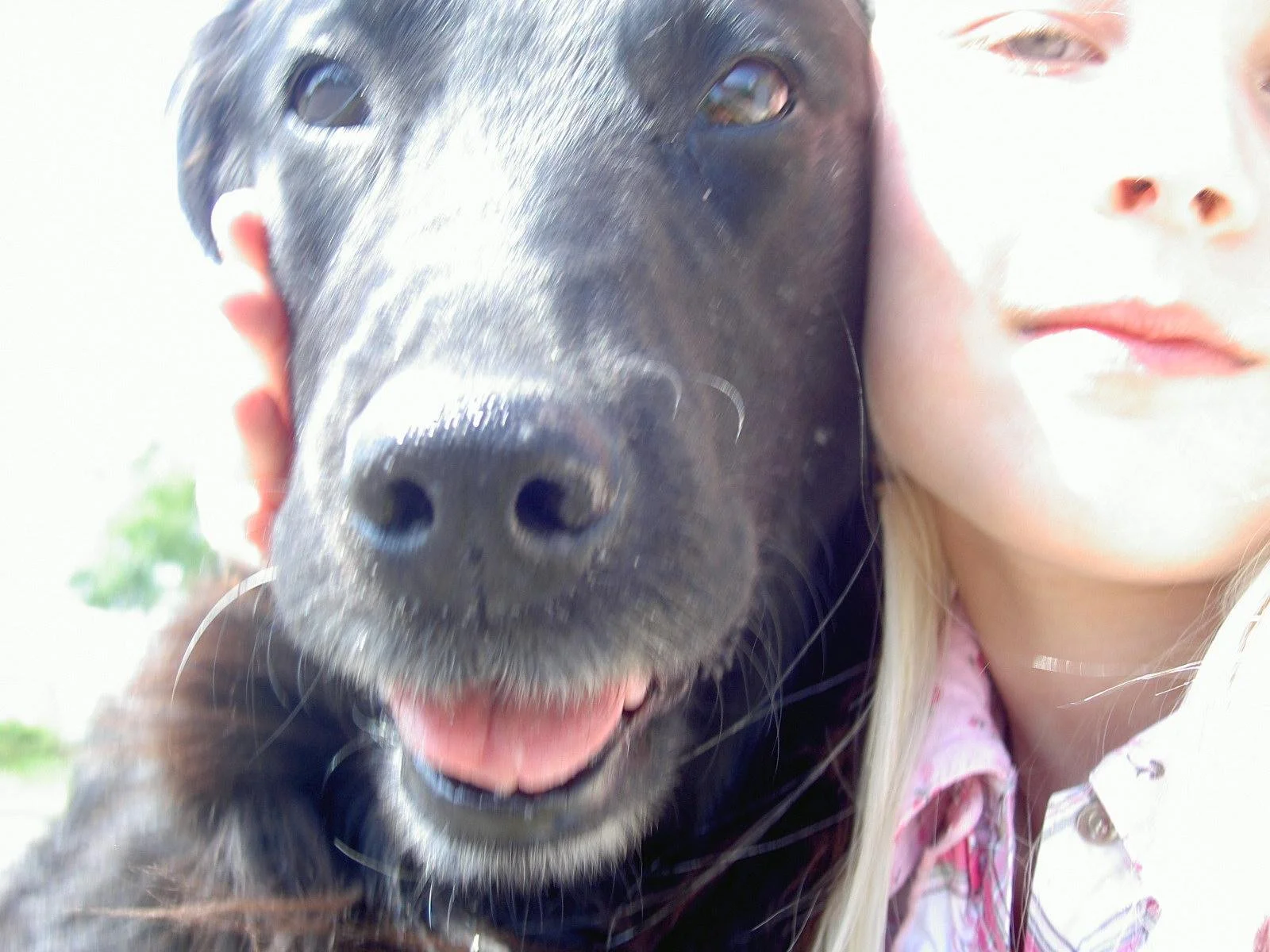 Close-up van een zwart hondje en een meisje met blond haar, ze staan naast elkaar.