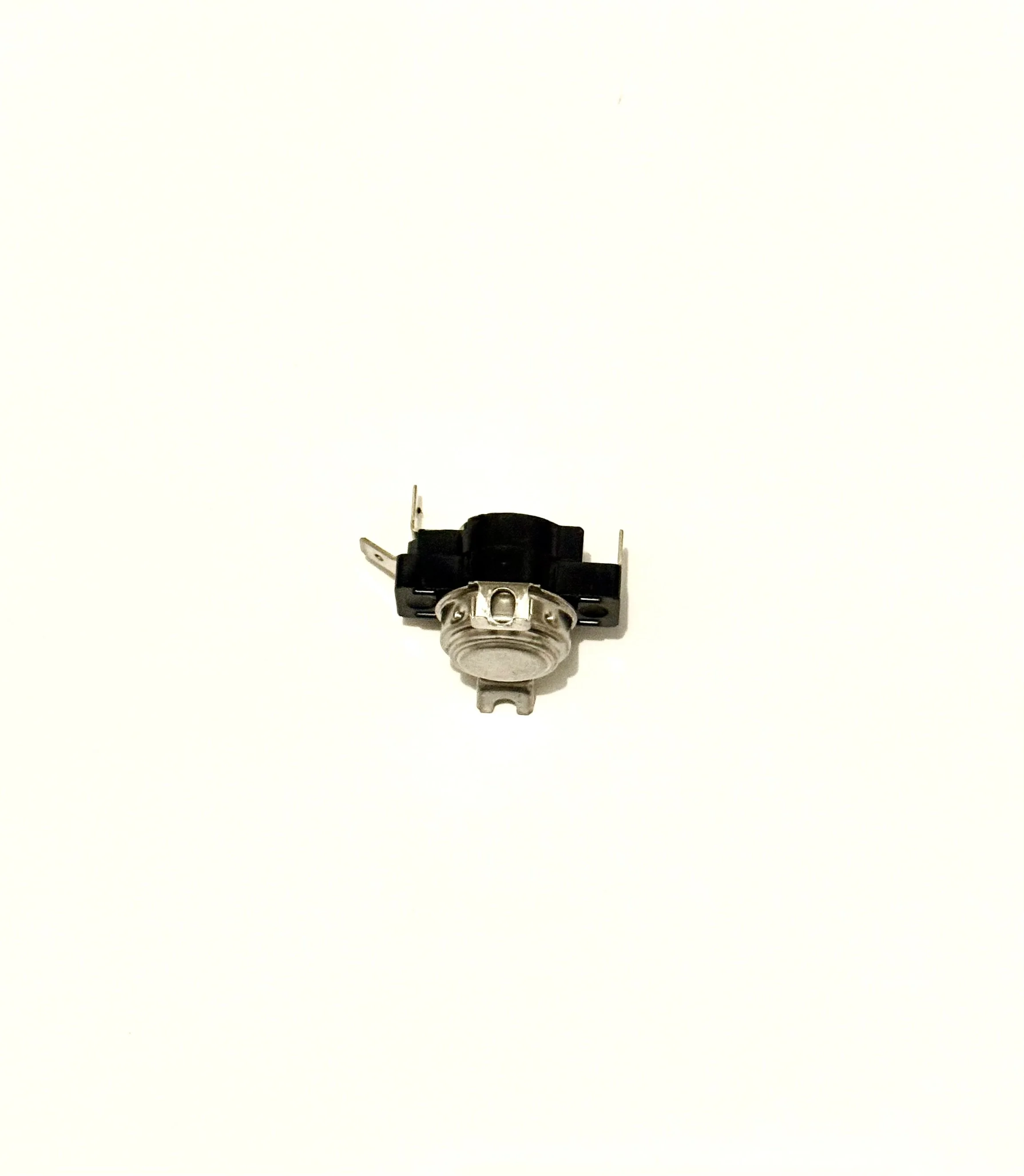 IMG_8667.jpeg