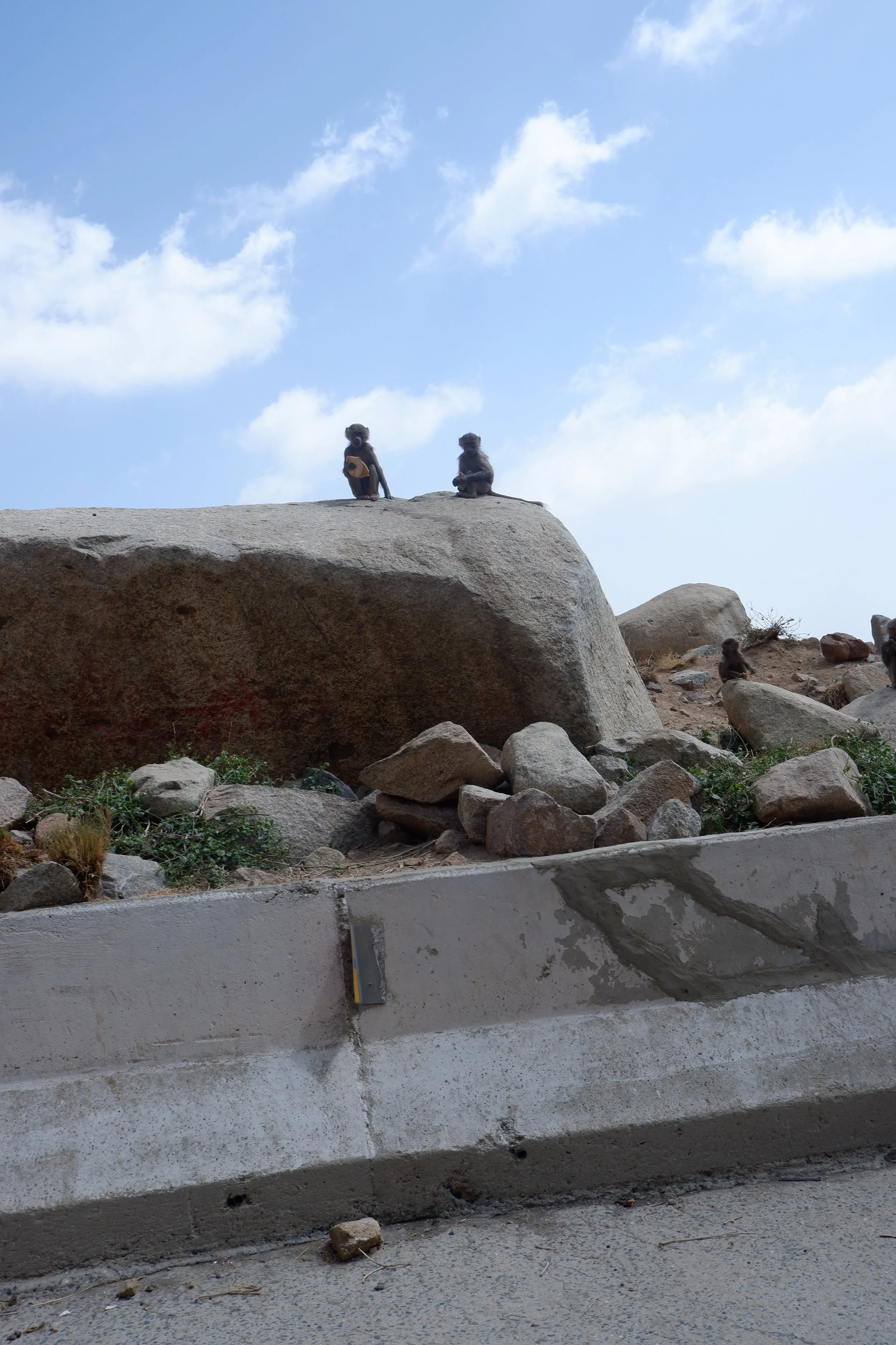 DSCF2784.JPG
