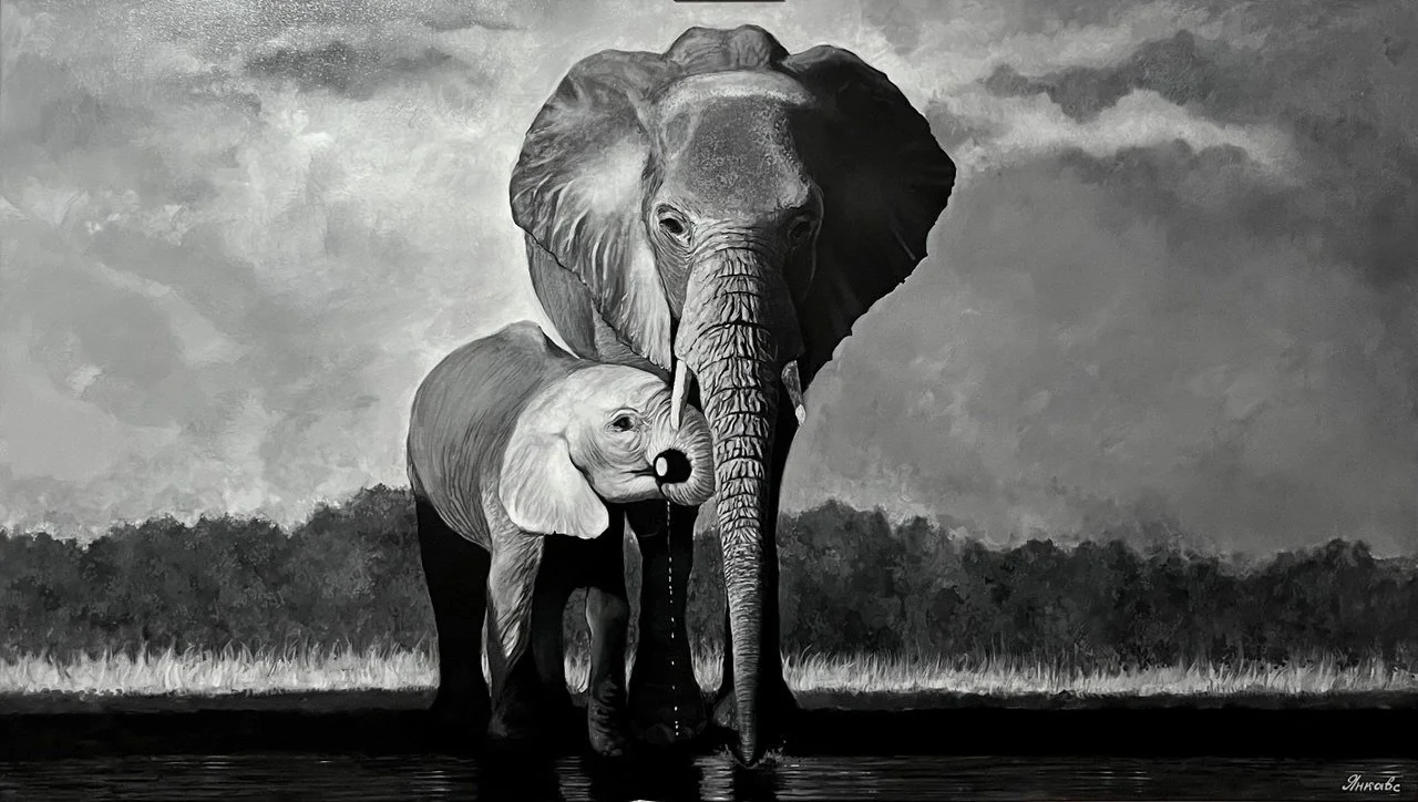 ELEPHANTS