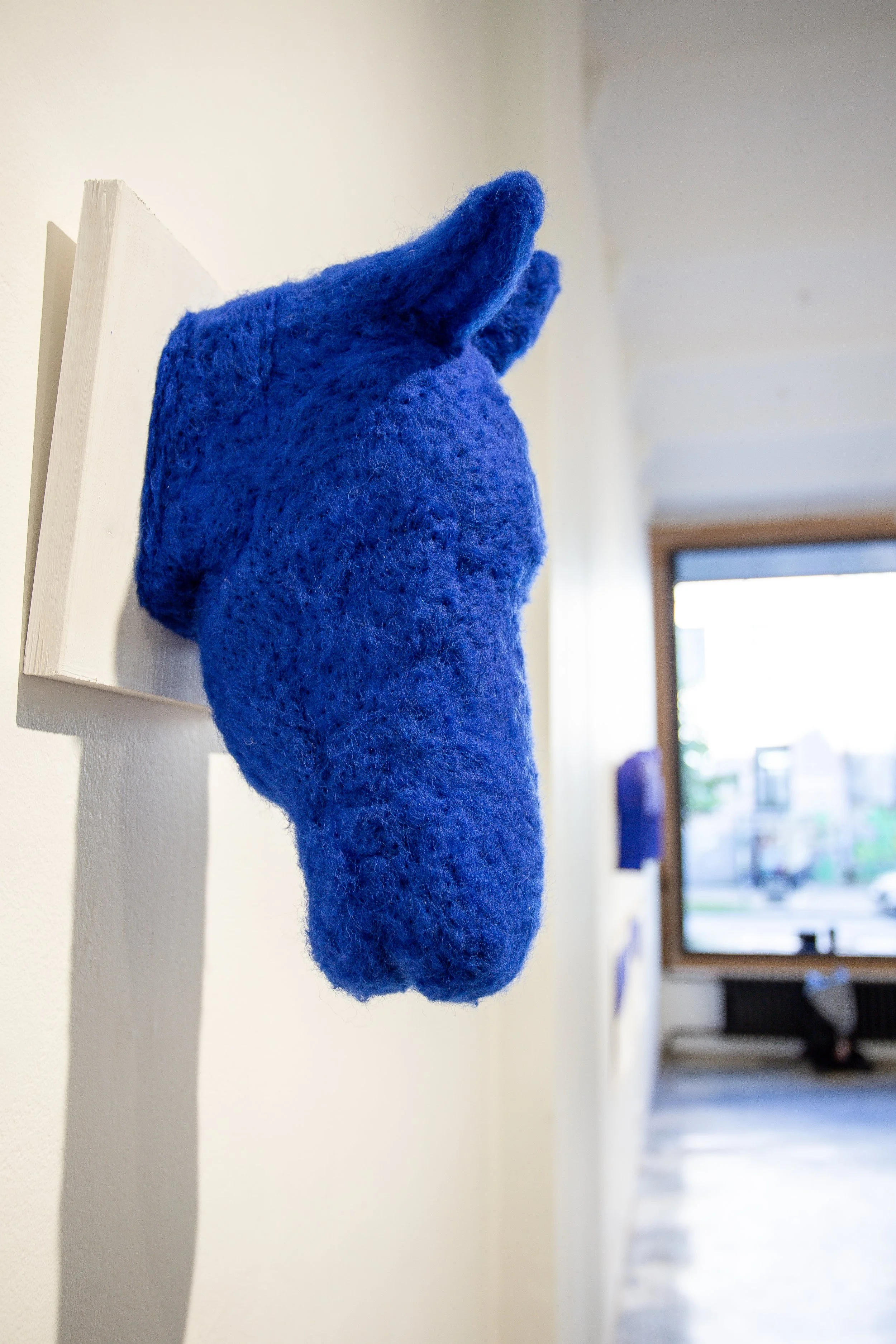HORSES HEAD