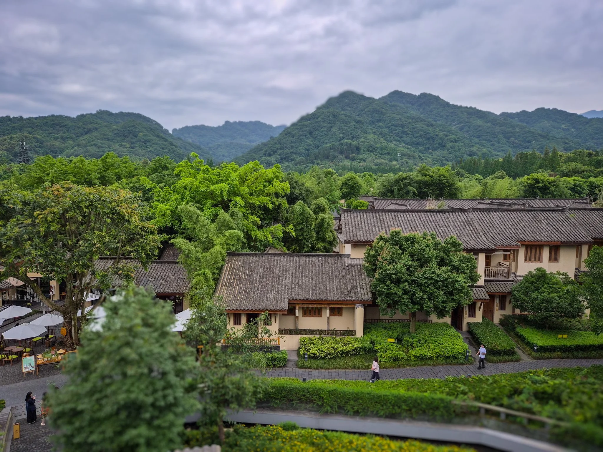 Qing Chen Mountain I China